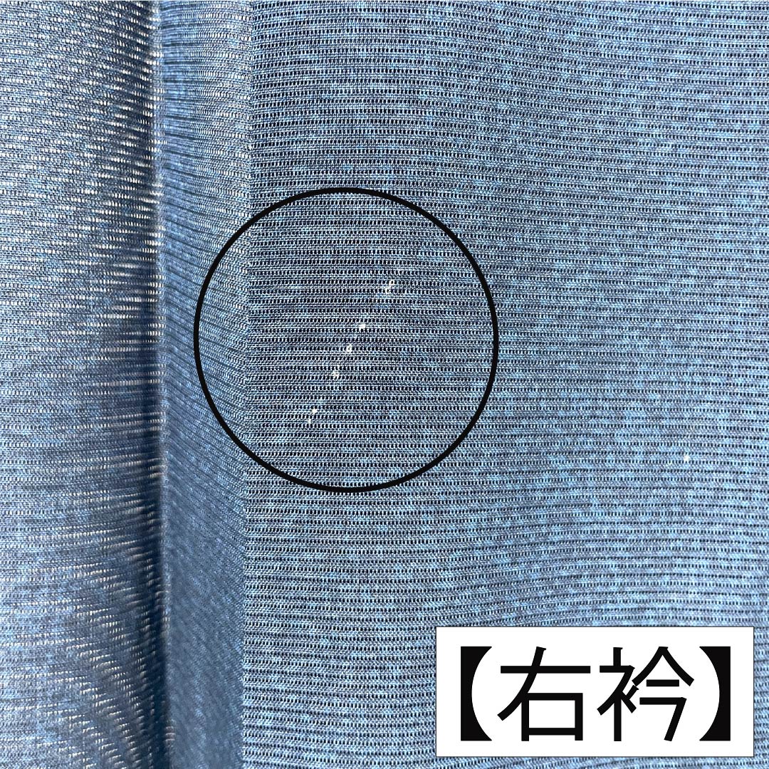 夏物 正絹 付下げ Aランク 身丈163.5cm 裄丈67.5cm 紺色(こんいろ) 型染 幾何学模様 健勝苑ガード 絽 紺系 1132005033418