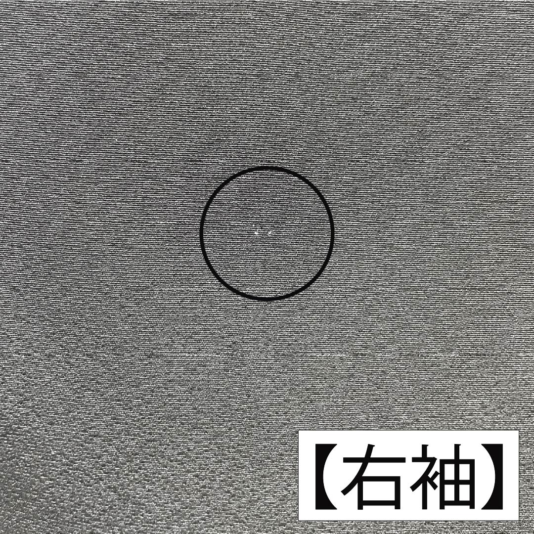 黒留袖 正絹 Aランク 身丈160.5cm 裄丈64cm 袷 五つ紋 三つ柏 鶴 松 亀 扇面 五つ紋 黒系 1111001903410