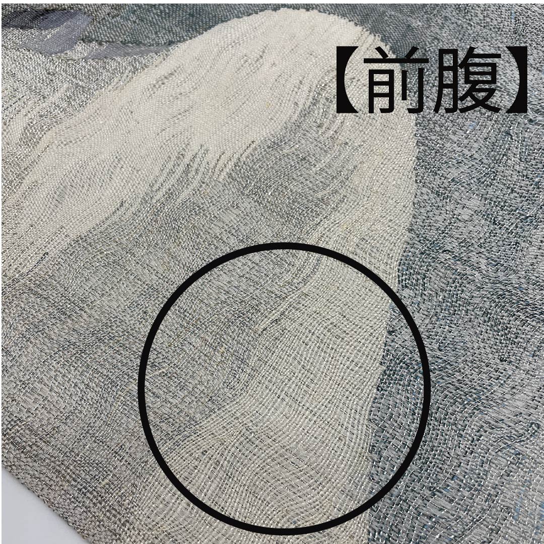 袋帯 銀白色色(ぎんはくしょくいろ) 夏帯 抽象模様 夏物 帯丈430cm 正絹 Bランク ポイント柄 カジュアル グラデーション系 1123007764399