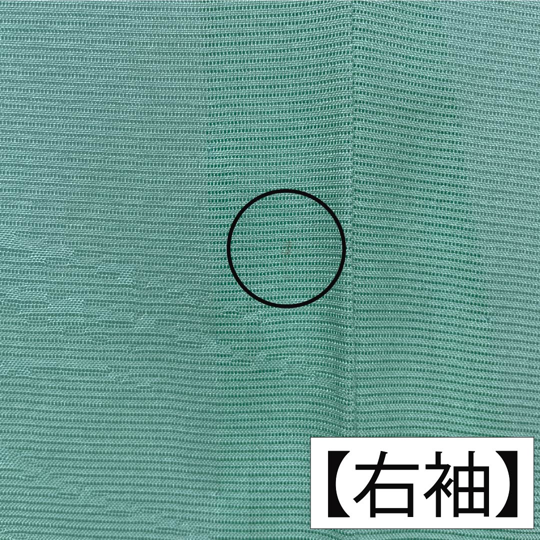 夏物 正絹 色無地 Aランク 身丈155.5cm 裄丈64cm 薄緑色(うすみどりいろ) 素無地 一つ紋 上り藤に一文字 絽 緑系 1132004743319