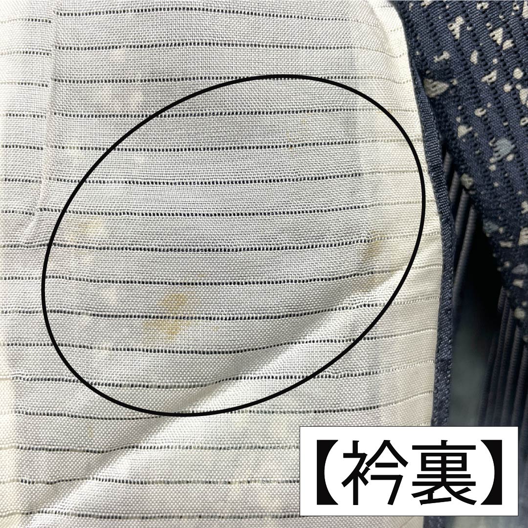 夏物 正絹 訪問着 Aランク 身丈161.5cm 裄丈66cm 浅葱鼠色(あさぎねずいろ) 竪絽 江戸小紋 タタキ染 絽 青系 1132005043417
