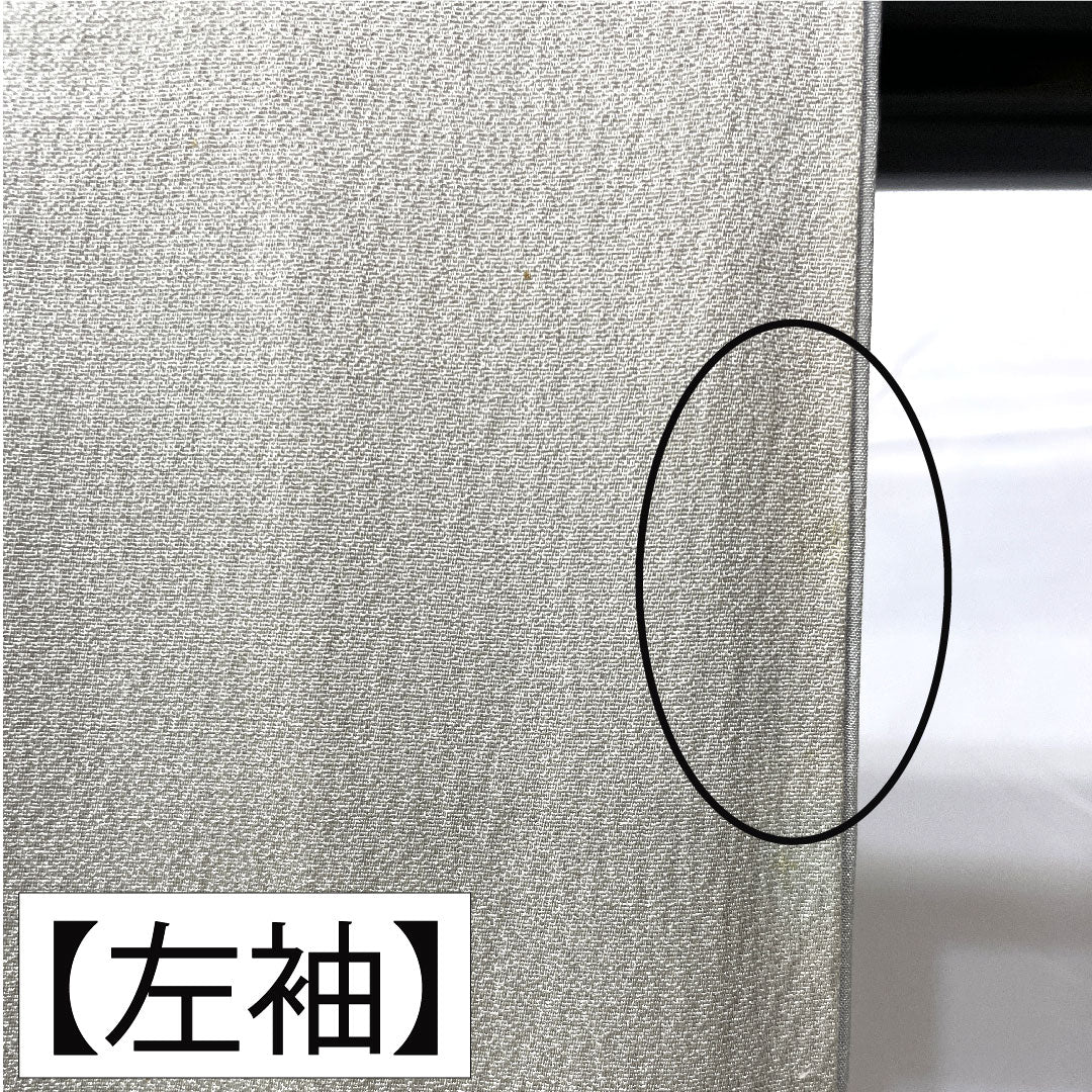 Homongi, pure silk, lined, length 167cm, sleeve length 62.5cm, white-green, Kyo-Yuzen, fan, dew grass, B rank, green, 1112004934519