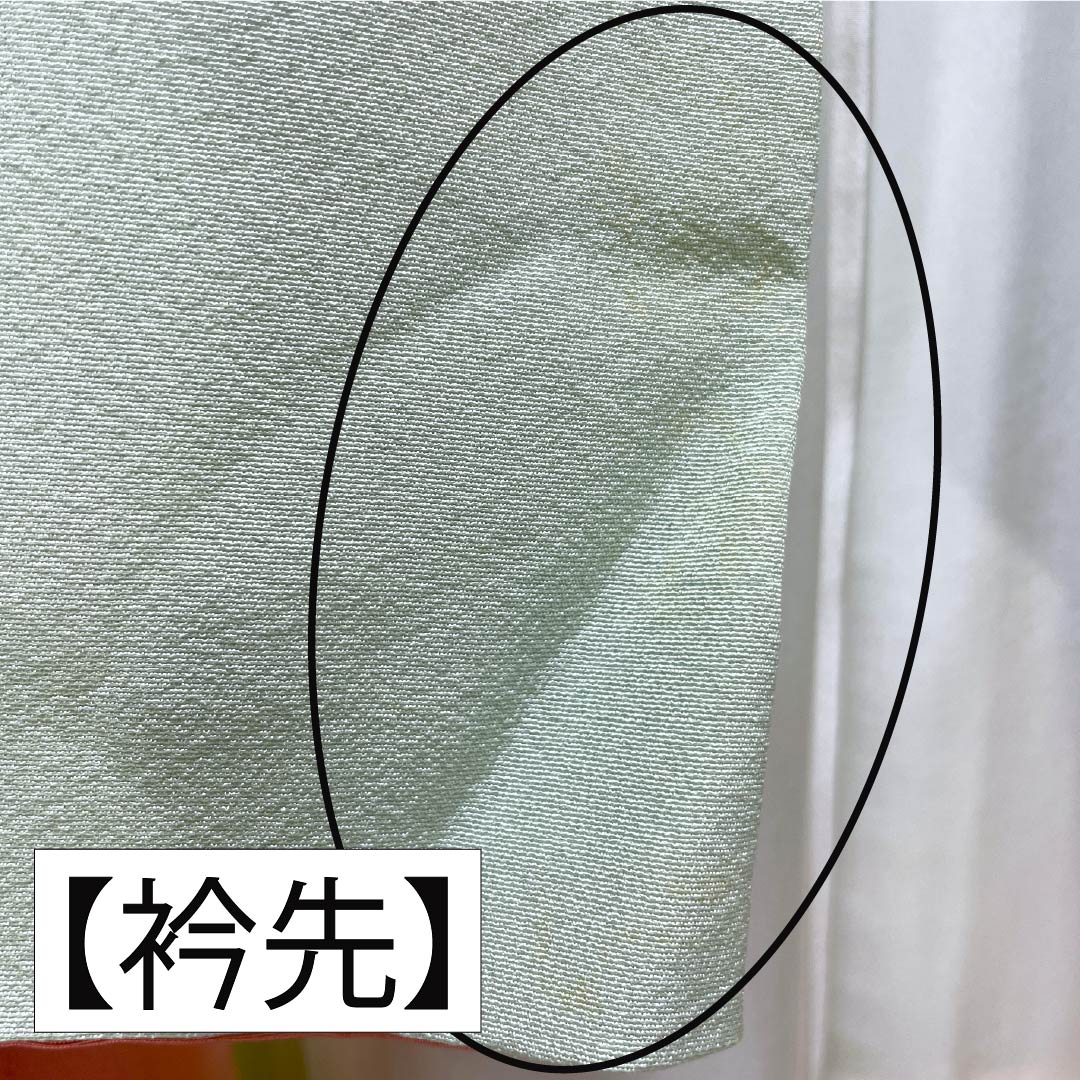 訪問着 正絹 Bランク 袷 身丈165cm 裄丈65.5cm 薄緑色(うすみどりいろ) 花 作家物 周市 しつけ糸付き 緑系 1112006974519