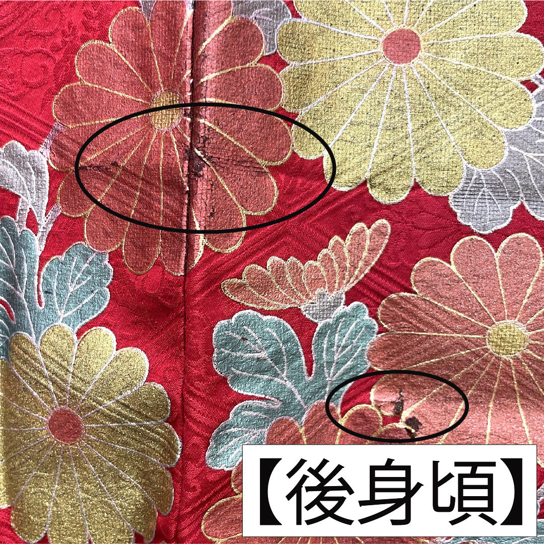 振袖 正絹 身丈154.5cm 裄丈66cm 袷 土耳古赤色(とるこあかいろ) 京友禅 菊 Aランク 赤系 1113001983212