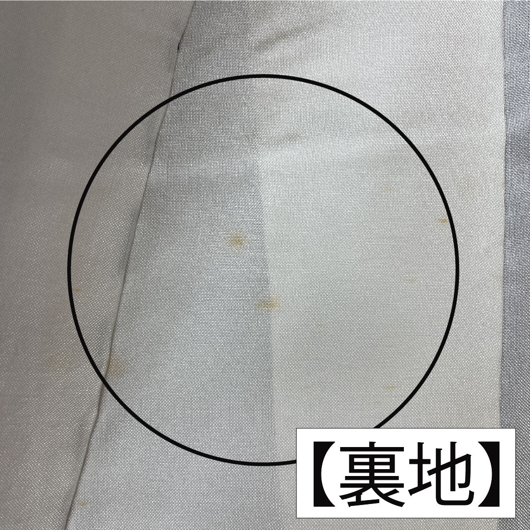 訪問着 正絹 袷 身丈159cm 裄丈65cm 濃紺色(のうこんいろ) 蝶 薔薇 Aランク 紺系 1112005883318