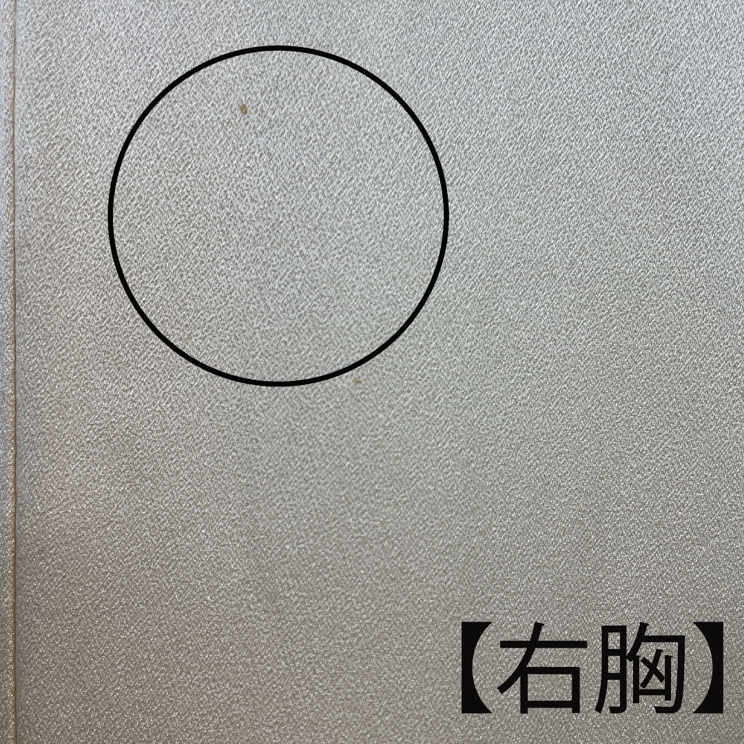 訪問着 袷 身丈152cm 裄丈60cm 砥粉色 風景模様 正絹 Aランク クリーム系 1112001873215