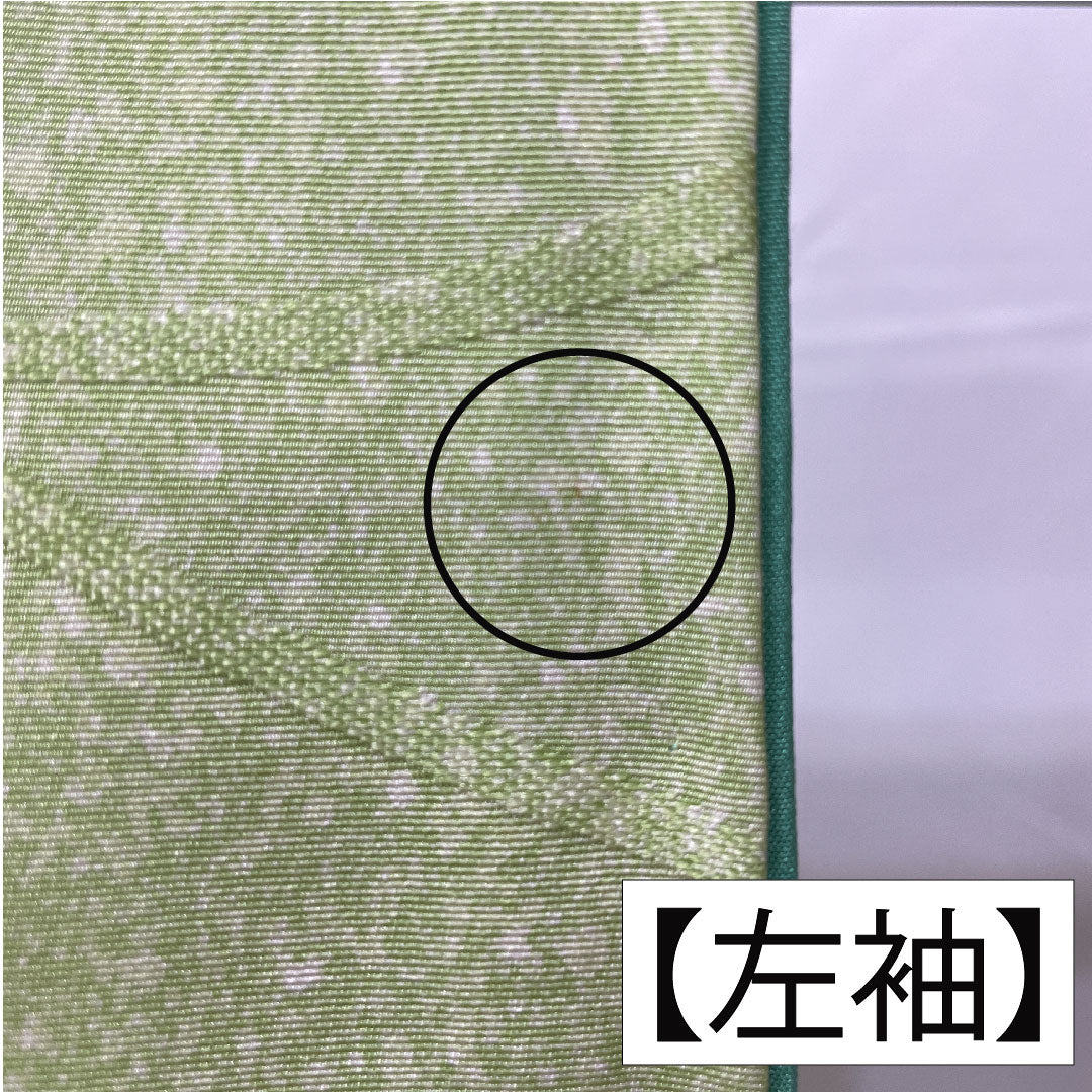 訪問着 正絹 袷 身丈158.5cm 裄丈62.5cm 黄緑色(きみどりいろ) 草花模様 濡れ描き友禅 Aランク 緑系 1112005763319