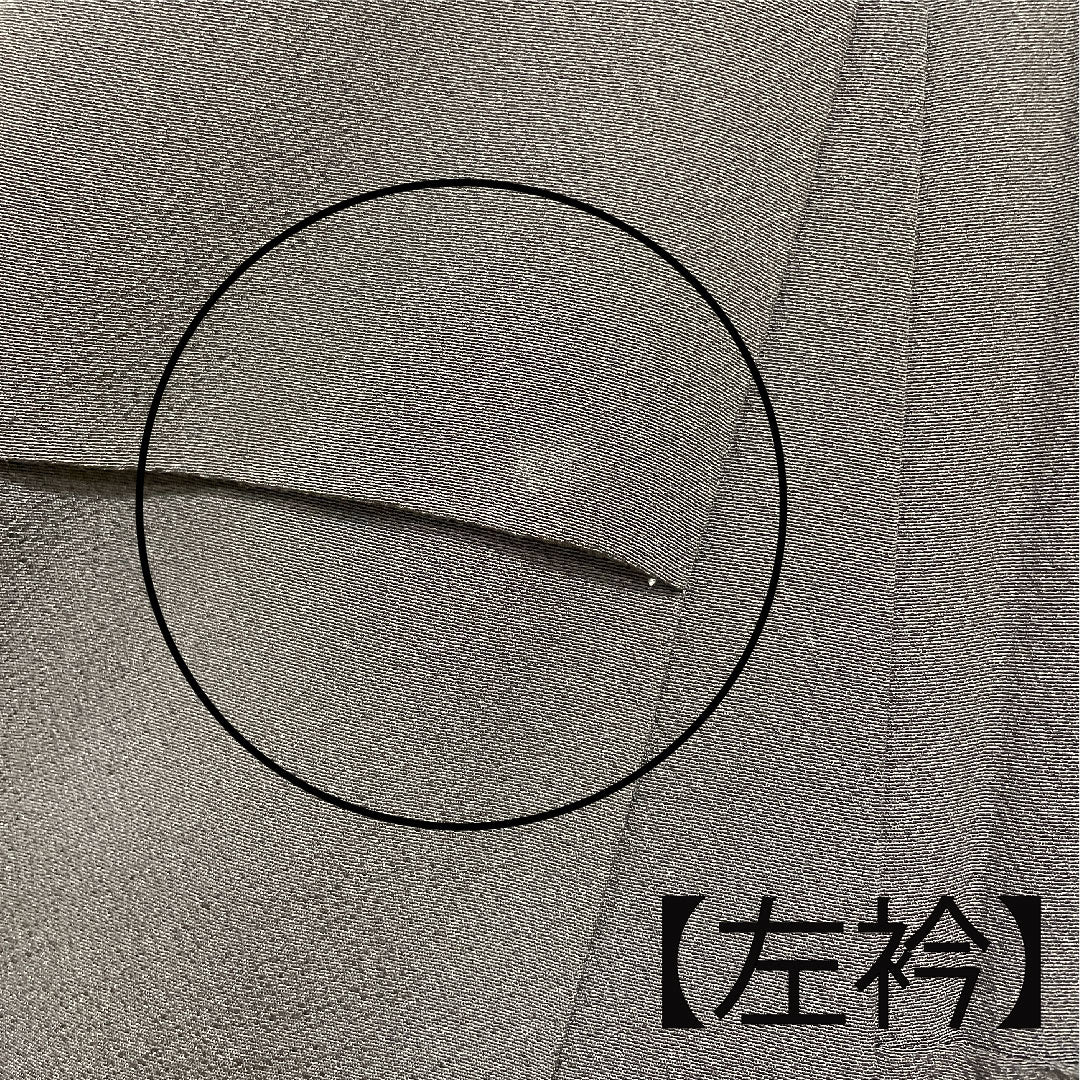 訪問着 袷 身丈161cm 裄丈70cm 黒鼠色 手描き友禅 草花模様 正絹 Sランク 黒系 1112001762410