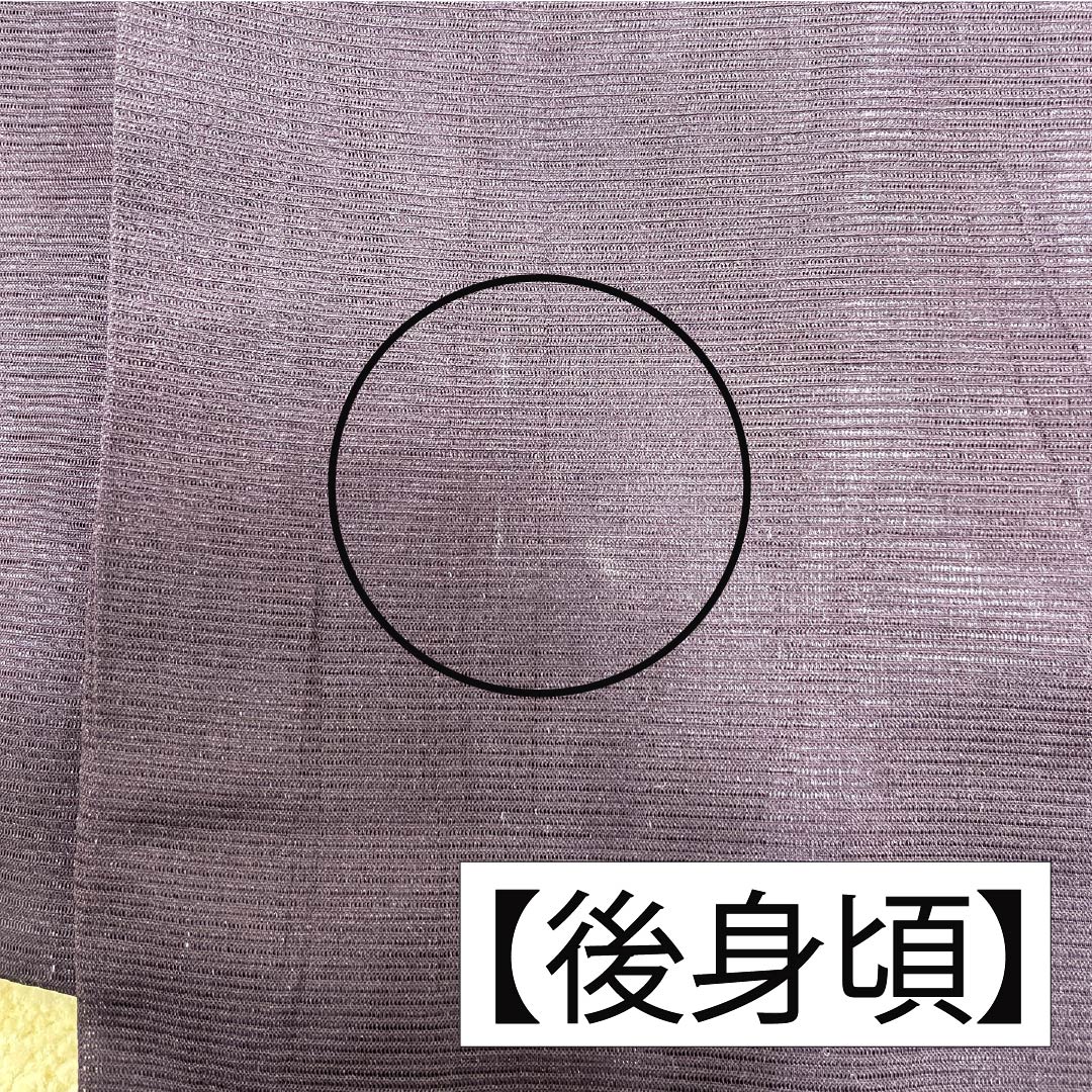 夏物 ポリエステル 色無地 Bランク 身丈156cm 裄丈62cm 二人静色(ふたりしずかいろ) 居敷当て付き 洗える着物 絽 紫系 1132003004320