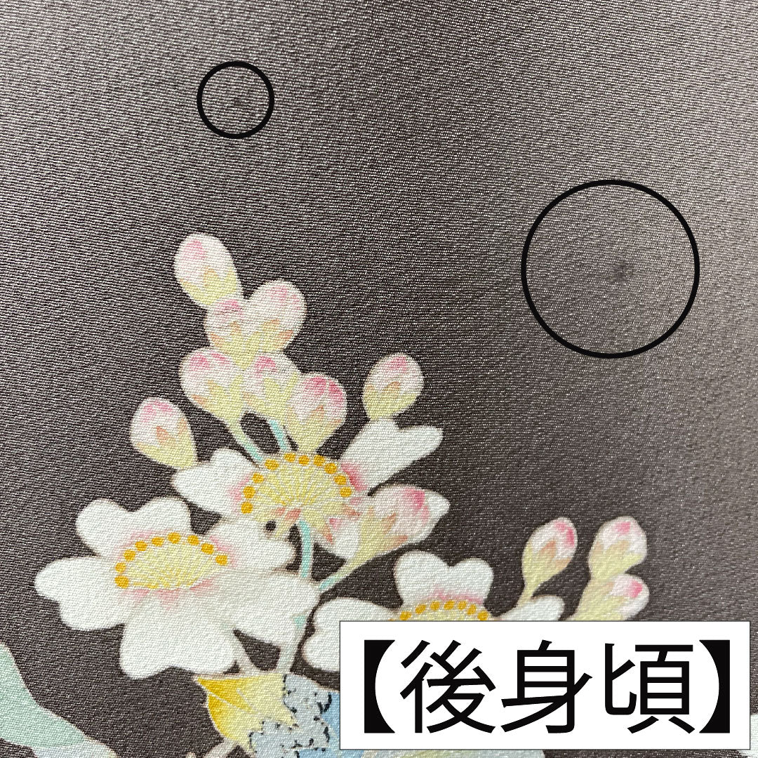 Colored Tomesode, pure silk, length 165cm, sleeve length 66cm, lined, plum gray, genuine Kaga Yuzen, Ichiro Kakimoto, floral pattern, three crests, circle with three split quince, B rank, three crests, purple, 1111001314520