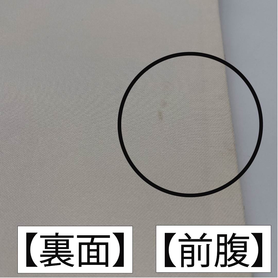 袋帯 正絹 生成り色(きなりいろ) 華文 七宝 桜 菊 帯丈444cm Aランク 六通 フォーマル 銀系 1123012103322