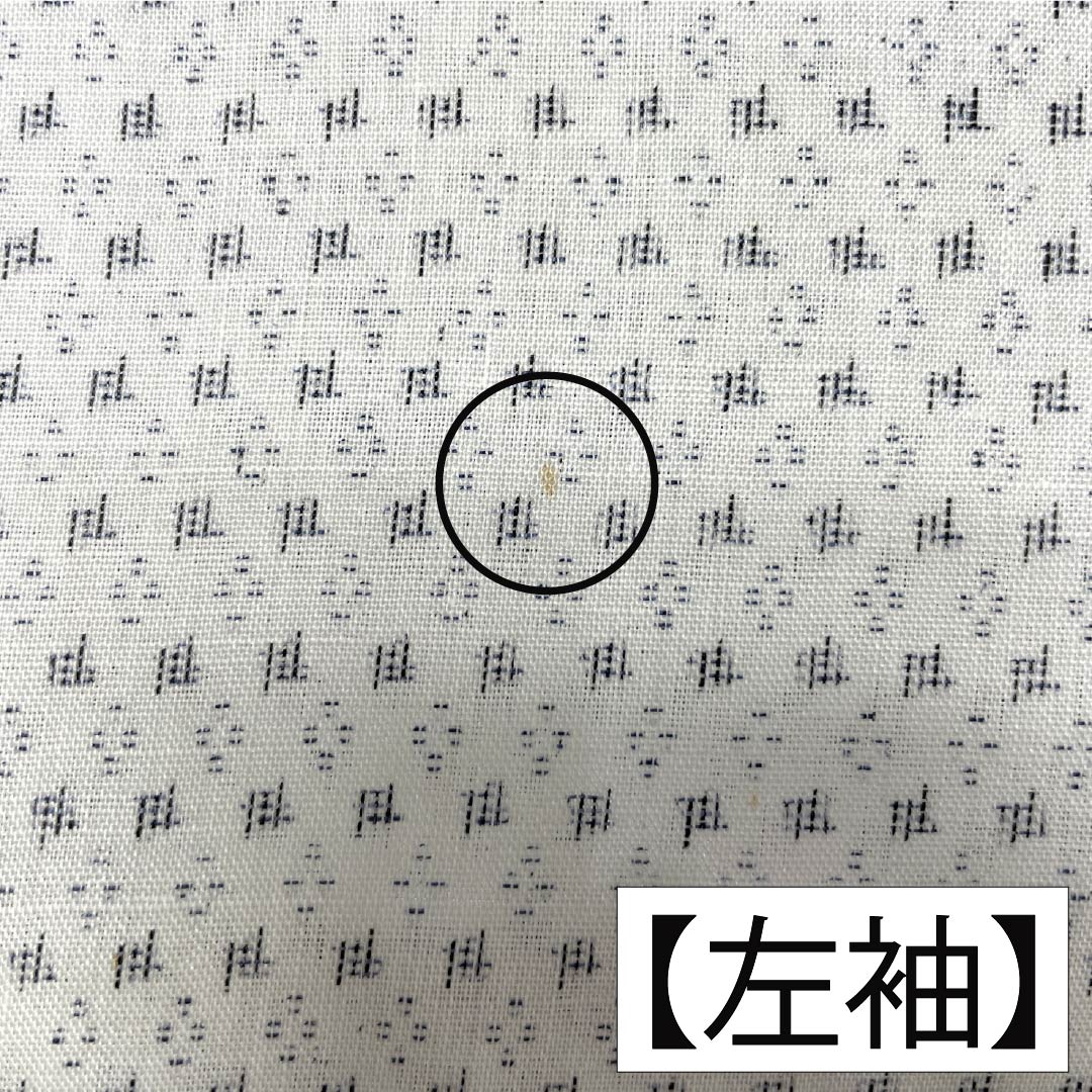夏物 麻 男物 Bランク 身丈141cm 裄丈68cm 能登上布 絣柄 紗 白系 1132006454411
