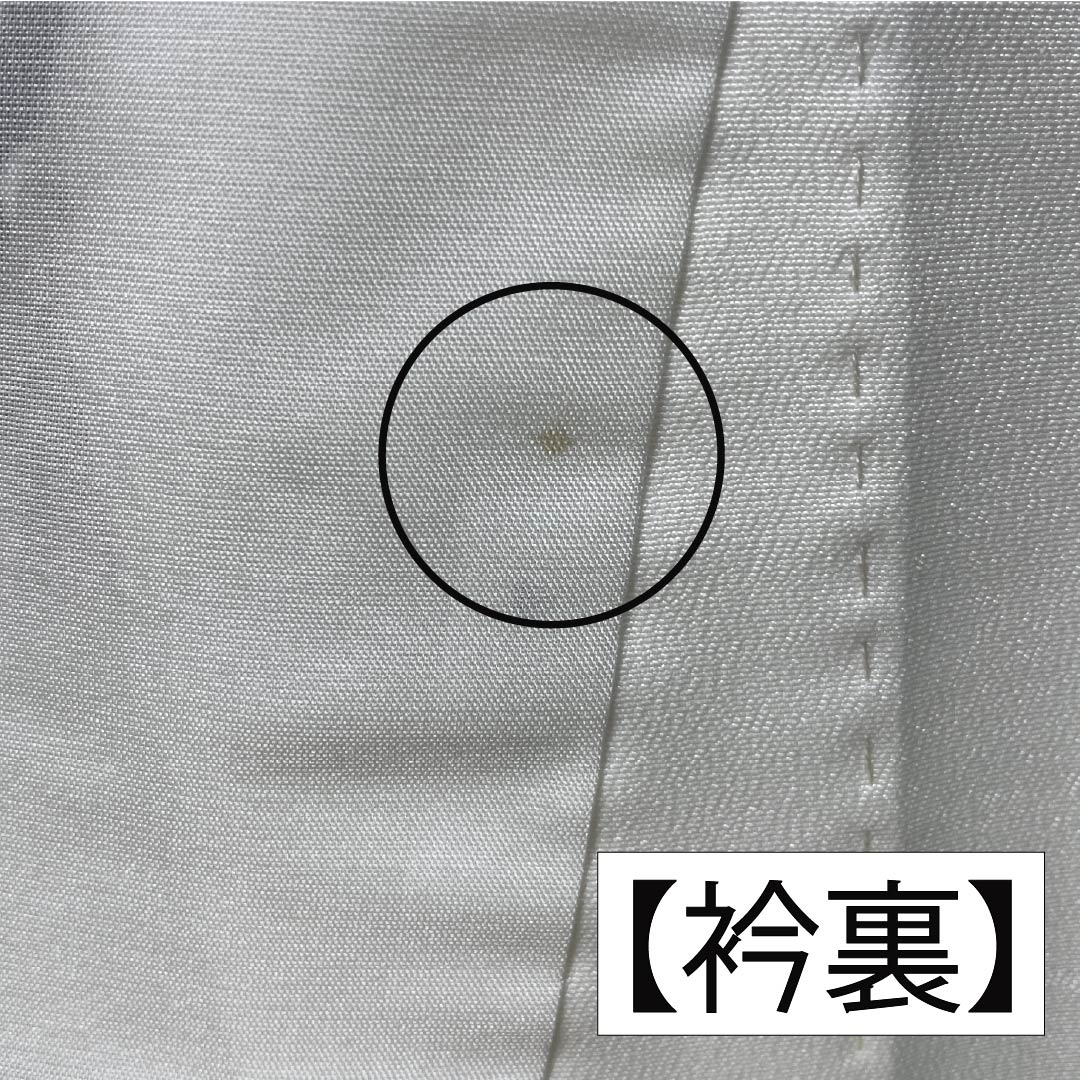 訪問着 ポリエステル Aランク 単衣 身丈154.5cm 裄丈63cm ドット柄 洗える着物 モノトーン 1112006153227