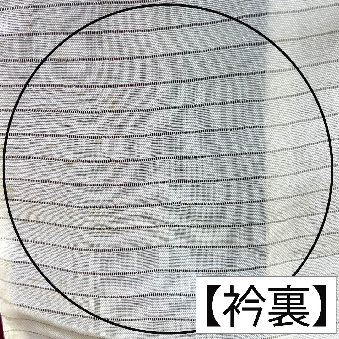 夏物 正絹 お召 Aランク 身丈151cm 裄丈64cm 紫黒色(しこくしょく) 草花模様 紗 紫系 1132004663220