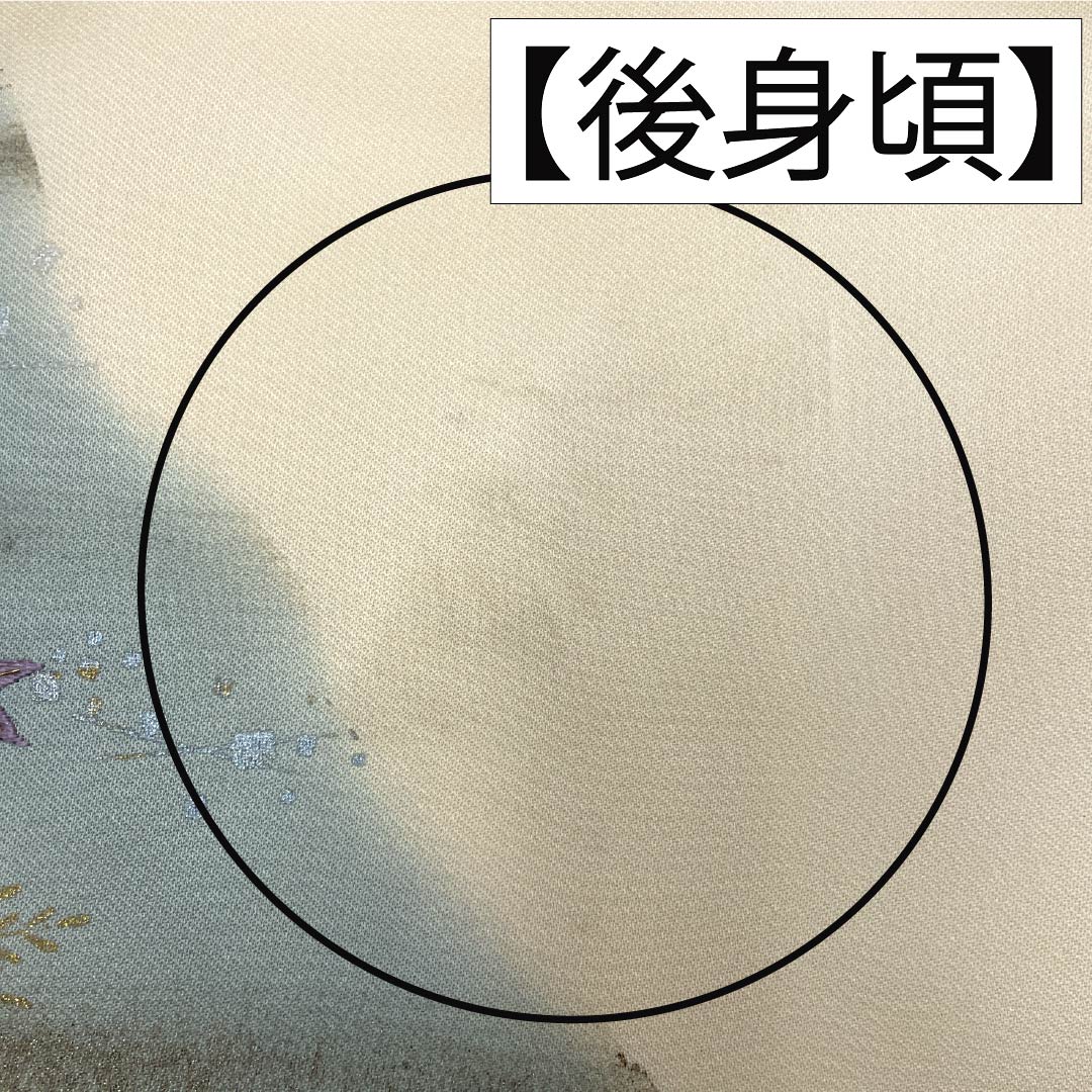 訪問着 袷 身丈162cm 裄丈64cm 肌色 京友禅 刺繡 草花模様 正絹 Bランク クリーム系 1112001614415