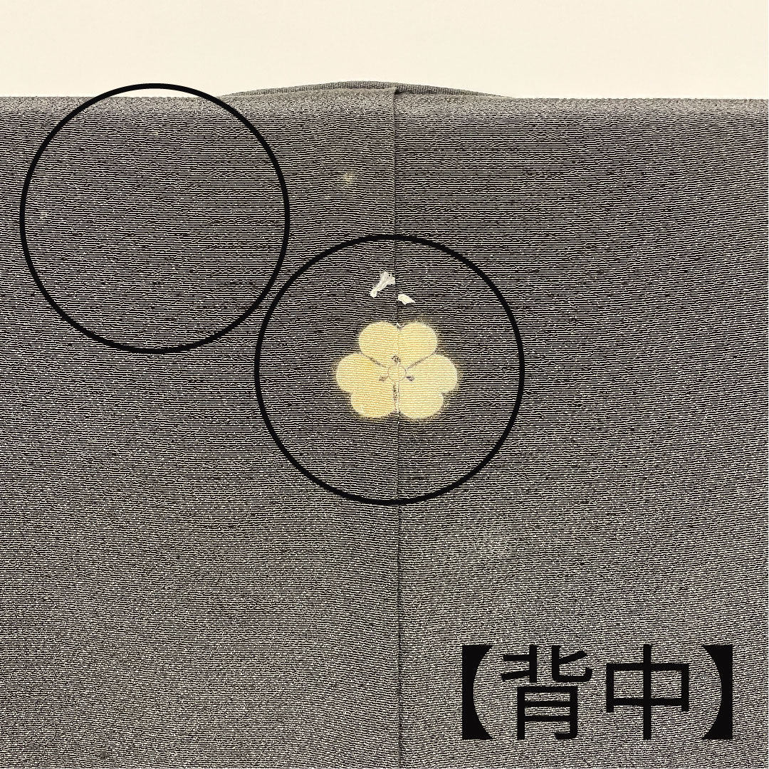 黒留袖 身丈155.5cm 裄丈61.5cm 袷 京友禅 鶴 片喰 正絹 Bランク 五つ紋 黒系 1111000344310