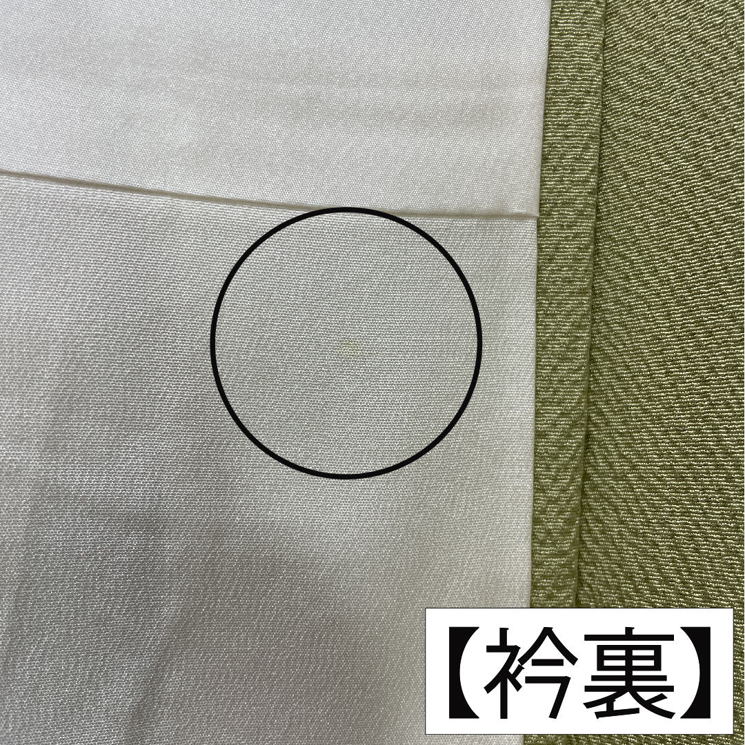 訪問着 正絹 袷 身丈162cm 裄丈62.5cm 薄柳色(うすやなぎいろ) 辻ヶ花 ちりめん地 重ね衿付き しつけ糸付き Sランク 緑系 1112005202419