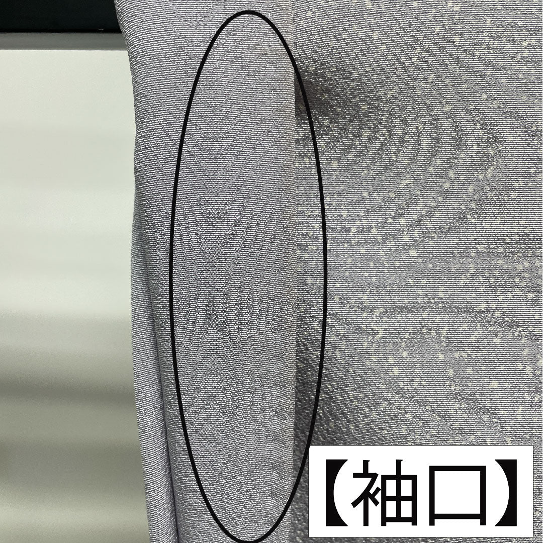 訪問着 正絹 袷 身丈156.5cm 裄丈63.5cm 雪色(せっしょく) 辻ヶ花 作家物 Aランク グレー系 1112004893322