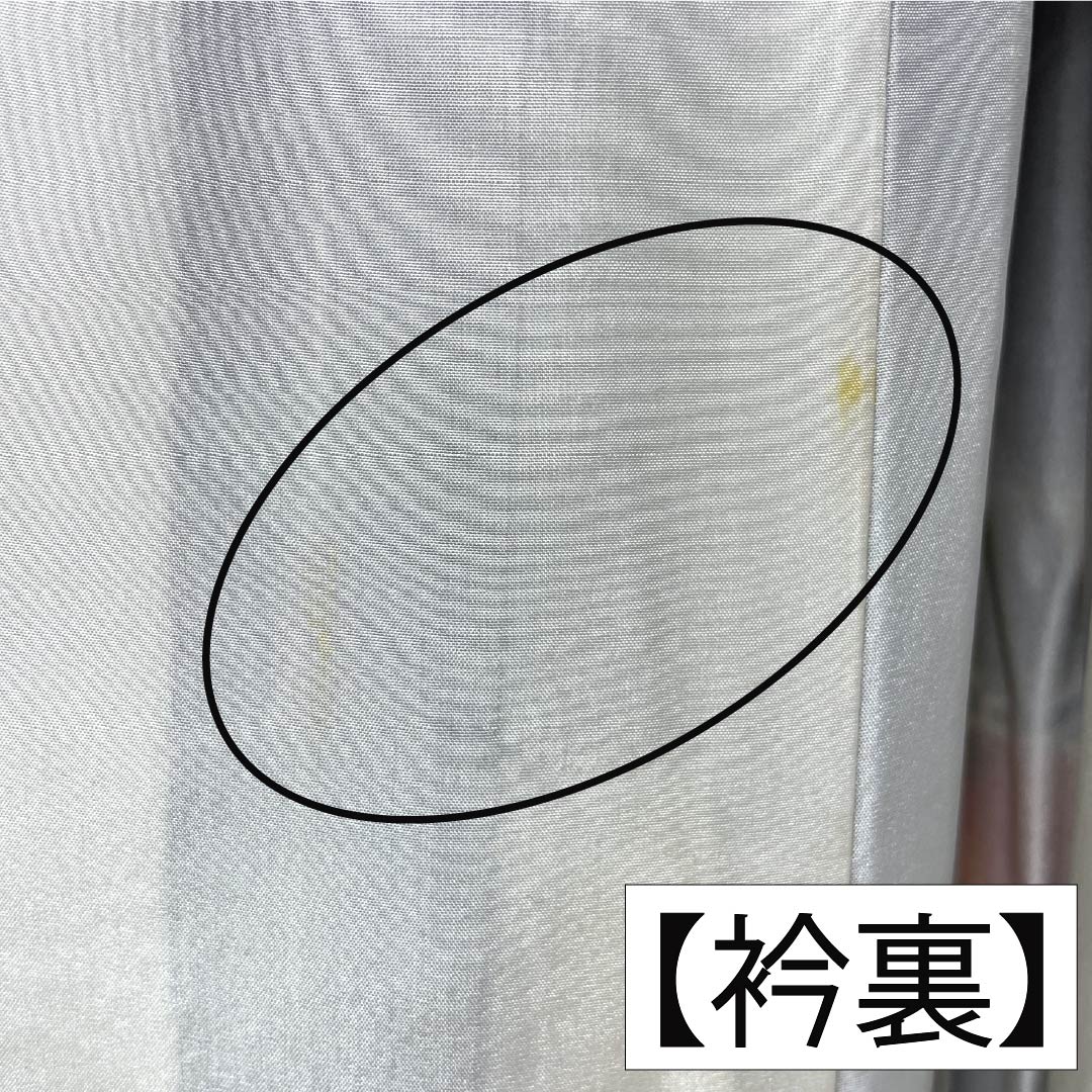 振袖 正絹 Aランク 身丈163cm 裄丈64cm 袷 青紫色(あおむらさきいろ) 京紅型 吉祥文様 三松シルクケア 青系 1113002823417