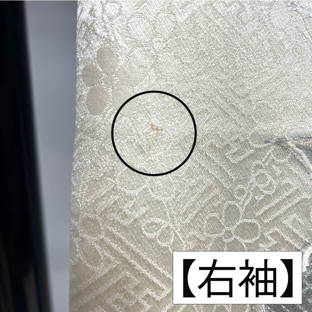 訪問着 正絹 Bランク 袷 身丈161cm 裄丈64.5cm 絞り 銀駒刺繍 重ね衿付き 紗綾形 笹 草花 モノトーン 1112007344427