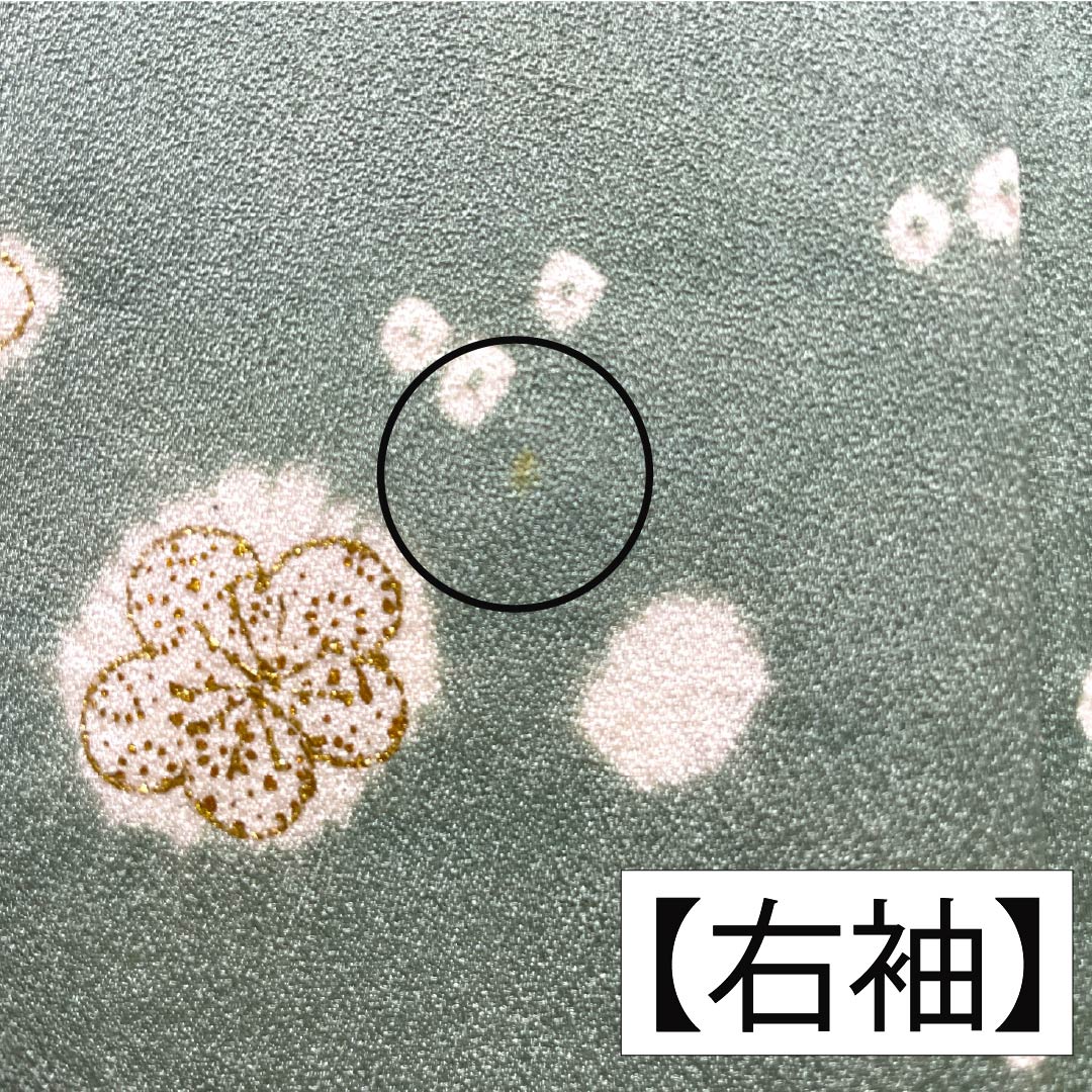 訪問着 正絹 Aランク 袷 身丈158.5cm 裄丈63cm 青磁色(せいじいろ) 一つ紋 金駒刺繍 絞り 重ね衿付き 梅 緑系 1112007333319