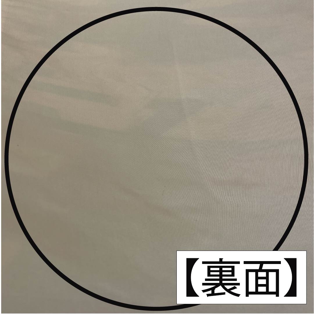 袋帯 正絹 生成り色(きなりいろ) 振袖用 白綾苑大庭 舟 梅 帯丈436cm Sランク 六通 フォーマル クリーム系 1123013852315