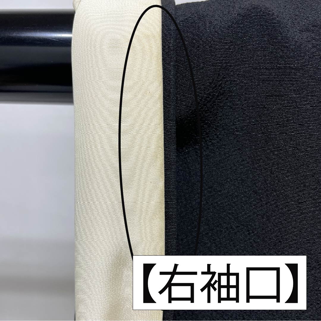 Black Tomesode (Tomesode) - Pure Silk, Grade A, Length 158.5cm, Sleeve Length 64cm, Lined, Gold-colored, Five Crests, Wisteria Design, Bundled Noshi, Five Crests, Black, Item Number 1111002043310