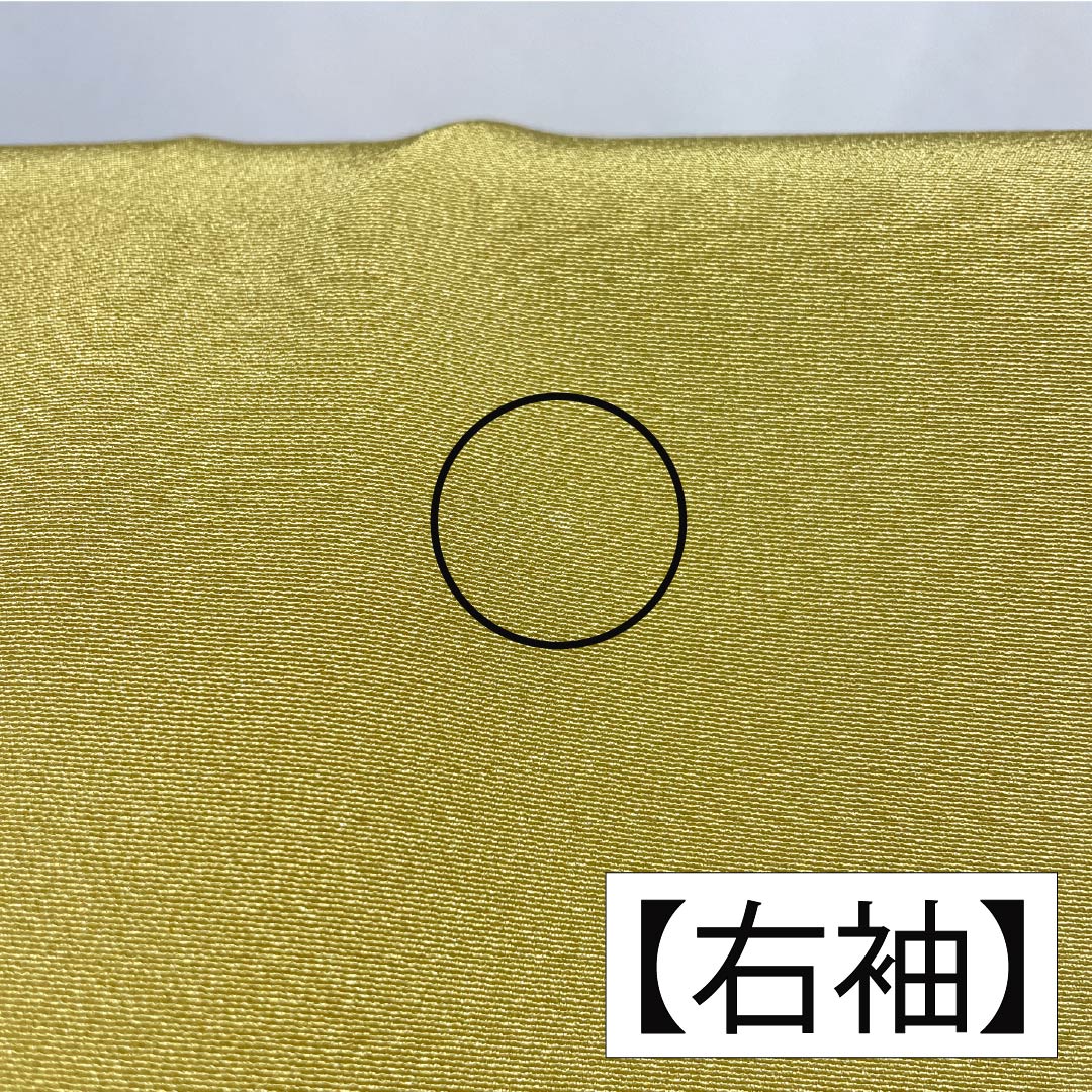 訪問着 正絹 Sランク 袷 身丈149.5cm 裄丈63cm 卵色(たまごいろ) 加賀友禅 手描き 峰山 作家物 草花 黄系 1112007262123