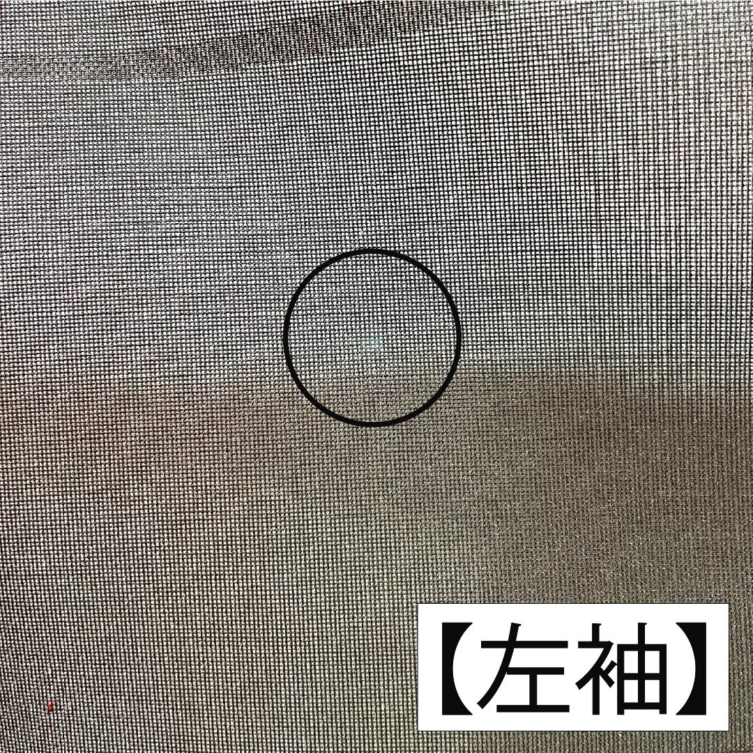 夏物 正絹 お召 Bランク 身丈155.5cm 裄丈62.5cm 暗紅色(あんこうしょく) 露芝 草花模様 紗 赤系 1132004264312