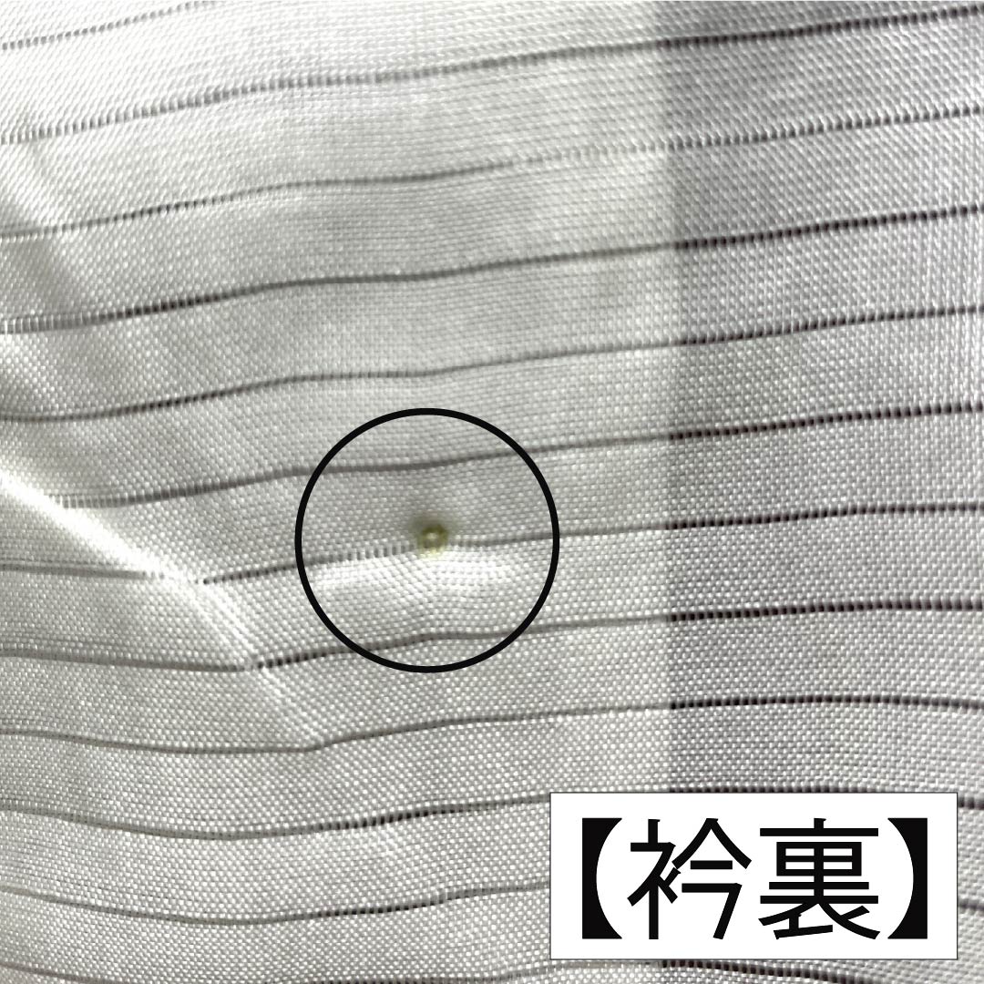 夏物 正絹 色無地 Sランク 身丈154.5cm 裄丈62cm 木蘭色(もくらんじき) 霞模様 五三桐 一つ紋 絽 紫系 1132003632220