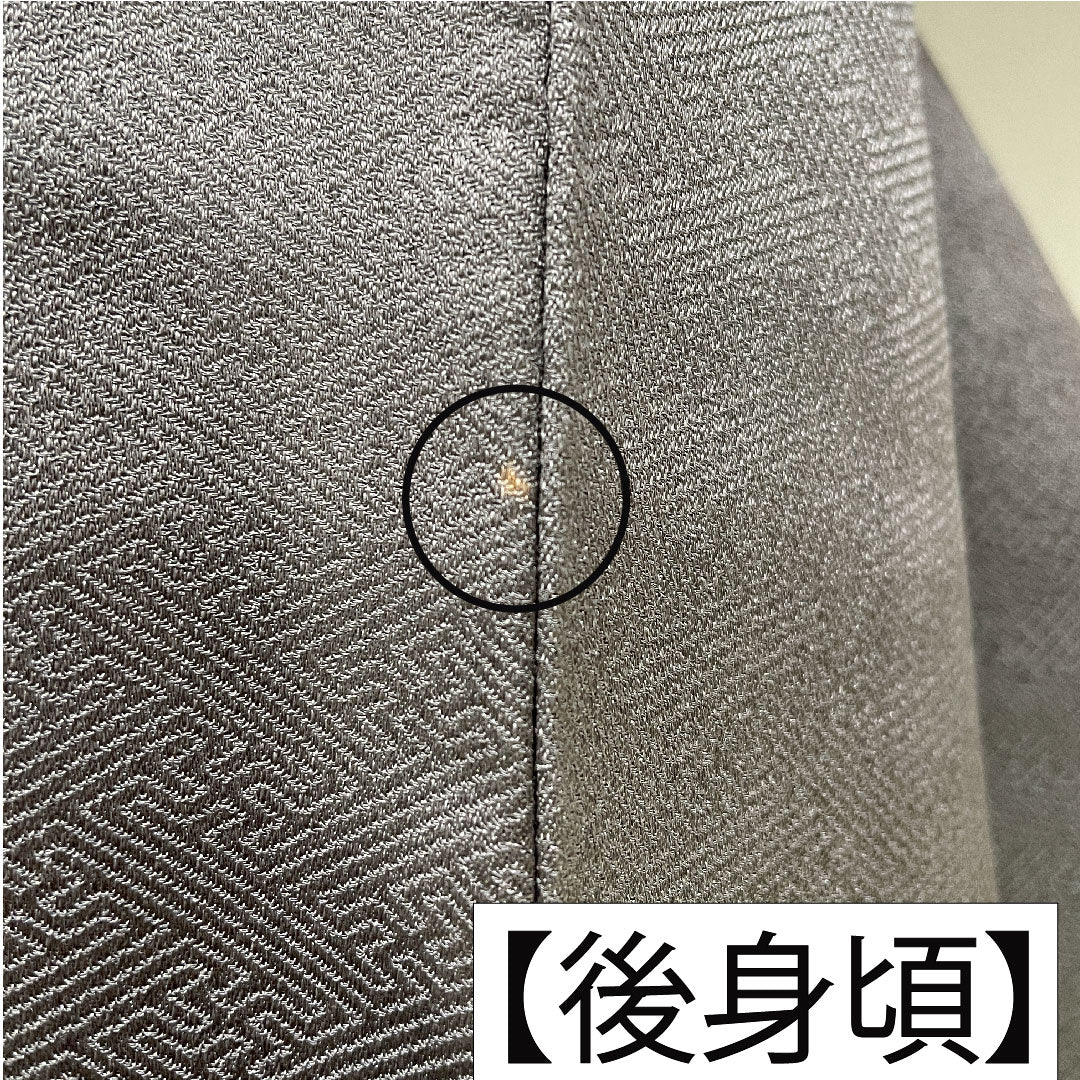 訪問着 正絹 袷 身丈164cm 裄丈63.5cm 藍鼠色(あいねずいろ) 部分絞り 桜 Aランク グレー系 1112005773422