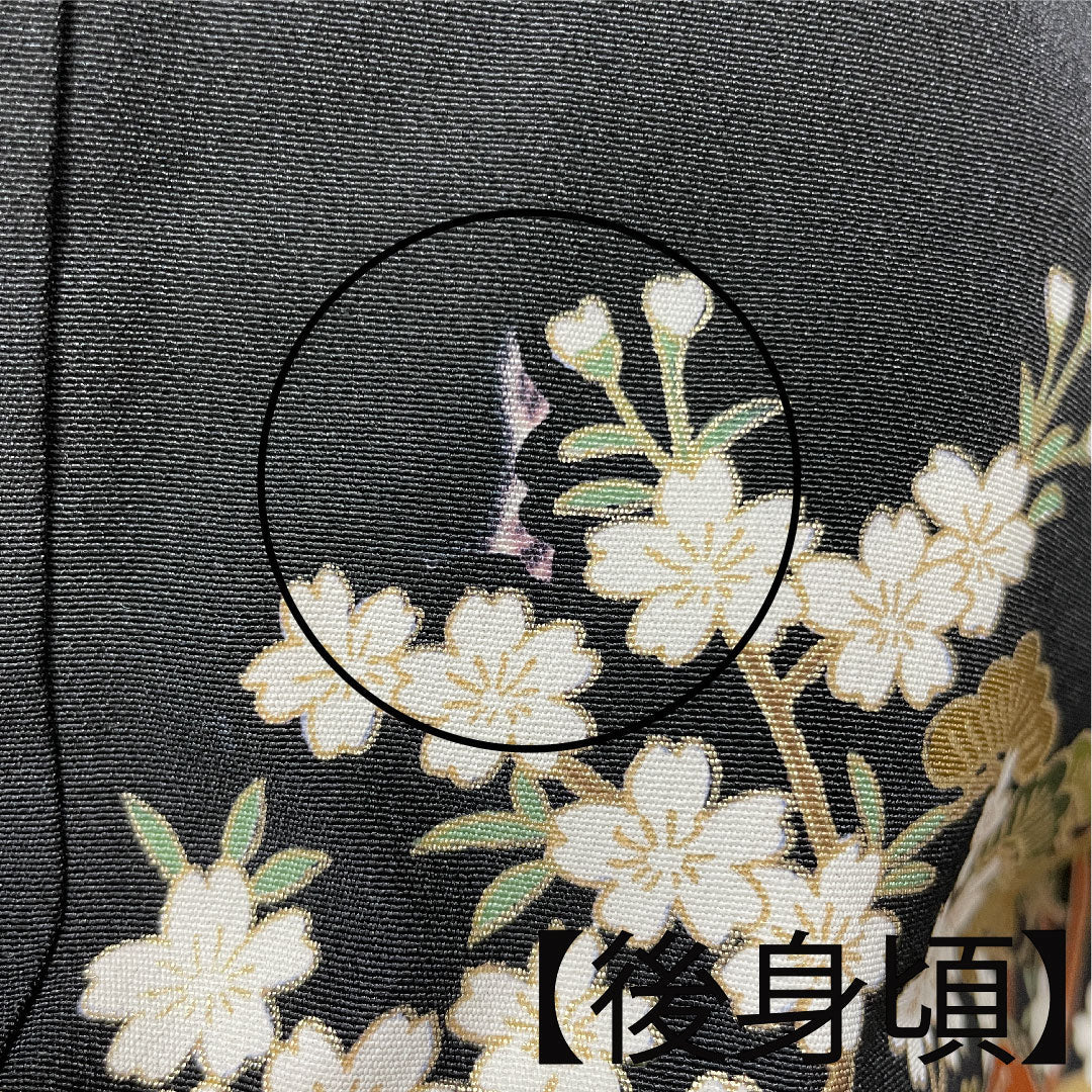 黒留袖 身丈163.5cm 裄丈62.5cm 袷 京友禅 吉祥文様 丸に抱き沢瀉 正絹 Aランク 五つ紋 黒系 1111000633410