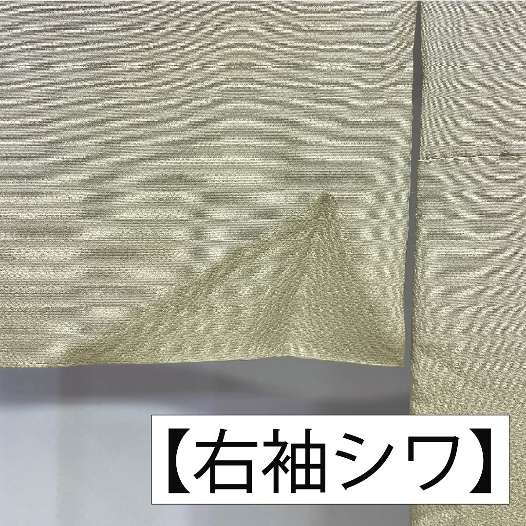 Visiting Kimono, Pure Silk, Grade A, Lined, Length 157.5cm, Sleeve Length 62.5cm, Rikyu White Brown (Rikyu Shirachairo), Kyoto Yuzen, Ivy, Single Crest, Artist's Work, Landscape Pattern, Green, Product Number: 1112007073319