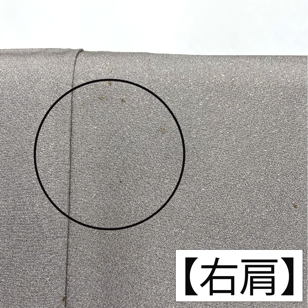 訪問着 正絹 袷 身丈159.5cm 裄丈64.5cm 紫鼠色(むらさきねずいろ) 辻ヶ花 金通し Aランク グレー系 1112005063322