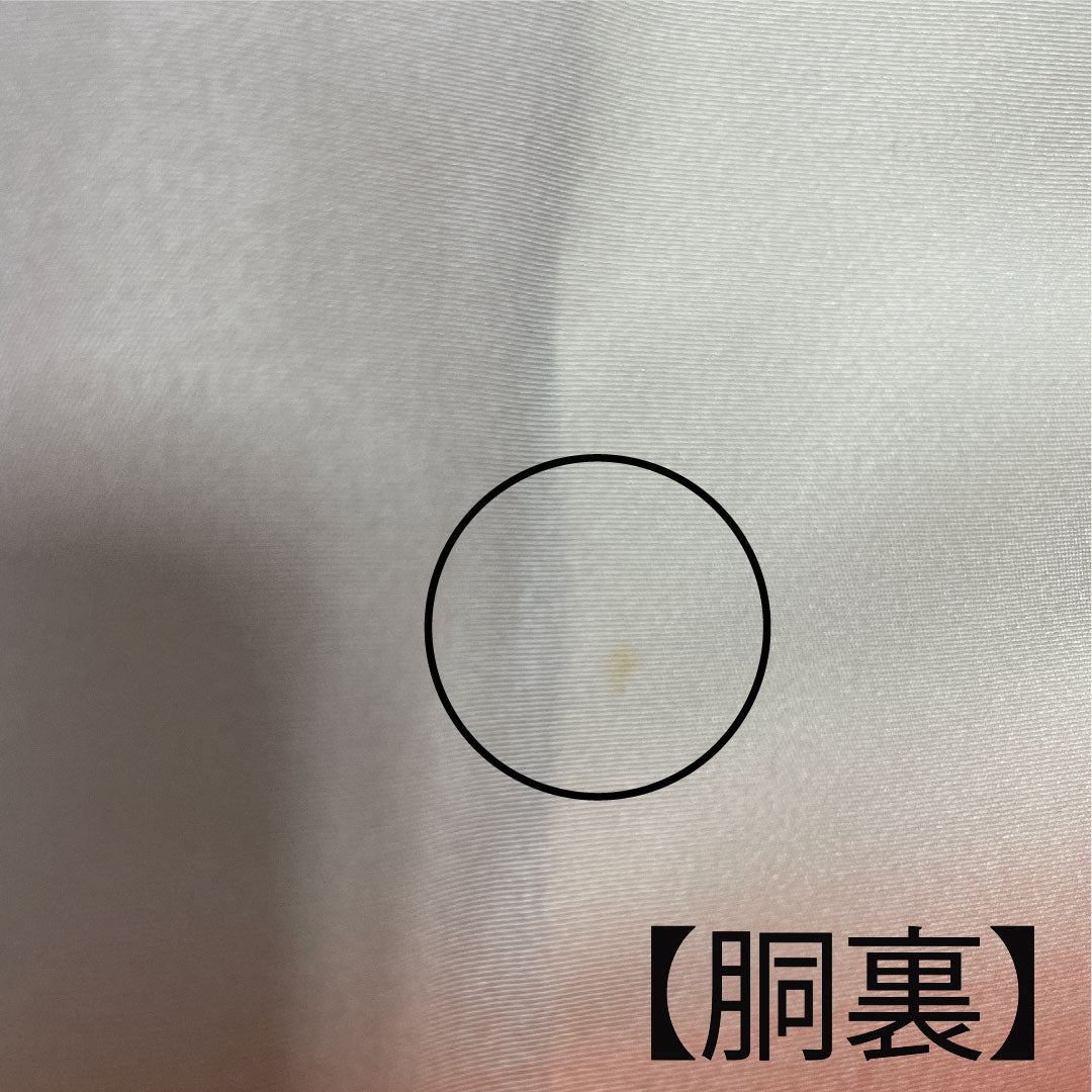 訪問着 袷 身丈145cm 裄丈63cm 珊瑚色 京友禅 桜 流水 正絹 Aランク 朱系 1112002053116