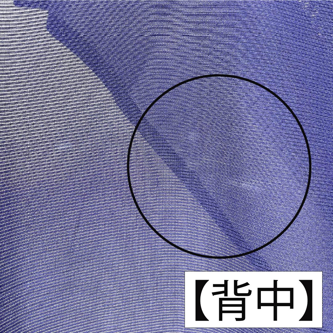 夏物 正絹 訪問着 Aランク 身丈158.5cm 裄丈62.5cm 濃桔梗色(こいききょういろ) 付下げ 秋草模様 蛍 絽 紺系 1132004703318