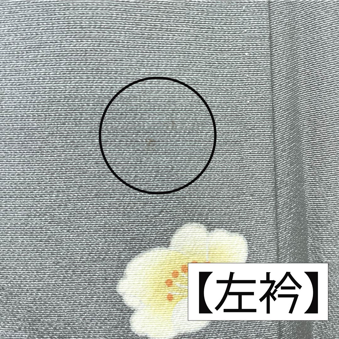 Visiting Kimono, Pure Silk, Grade A, Lined, Length 160.5cm, Sleeve Length 63cm, Kaga Yuzen, Floral Design, Artist's Work, Tsukesage, Gray, Product Number: 1112006933422