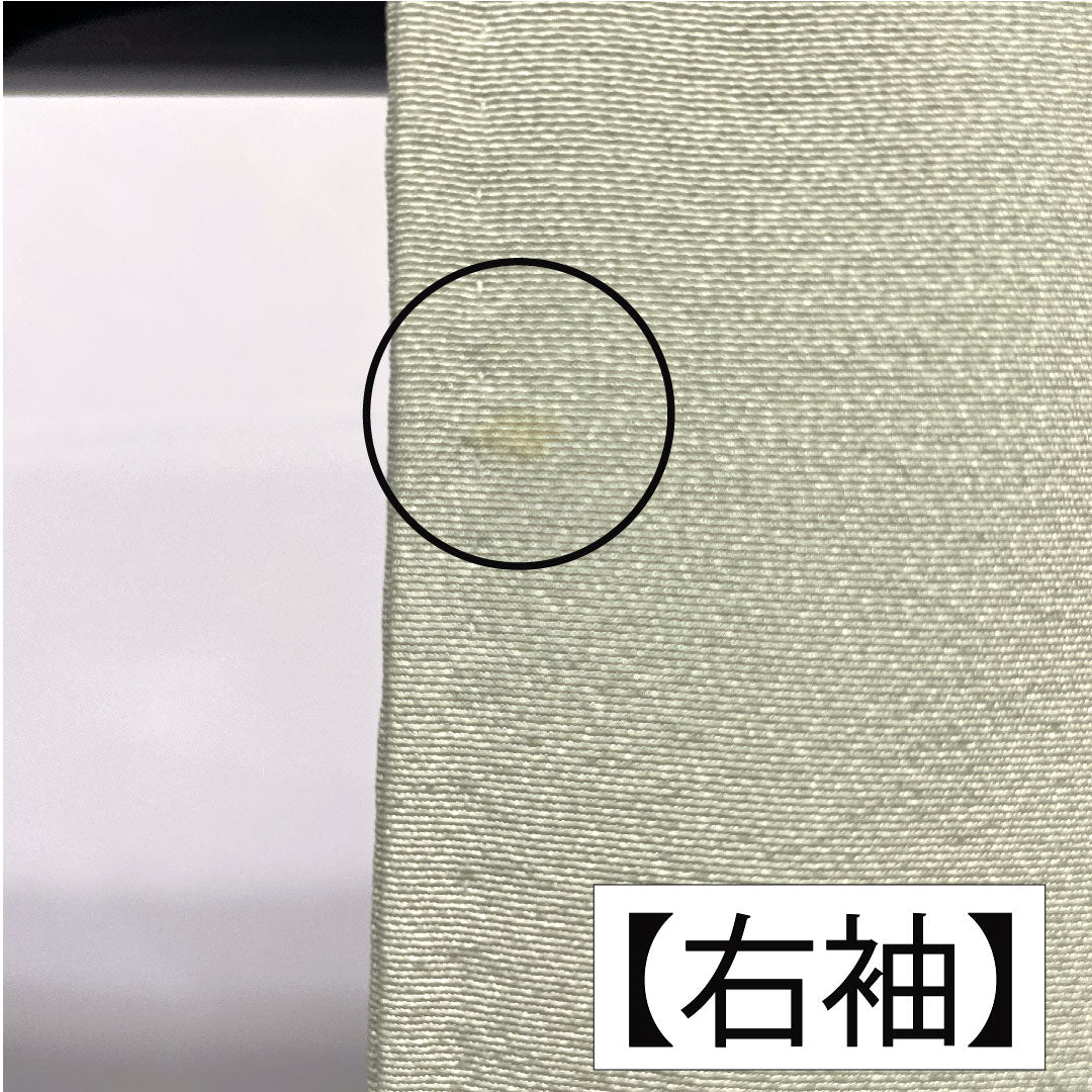 訪問着 正絹 袷 身丈165cm 裄丈63.5cm 白緑色(びゃくろくいろ) 加賀友禅 作家物 一つ紋 中陰五瓜 Aランク 緑系 1112005713519