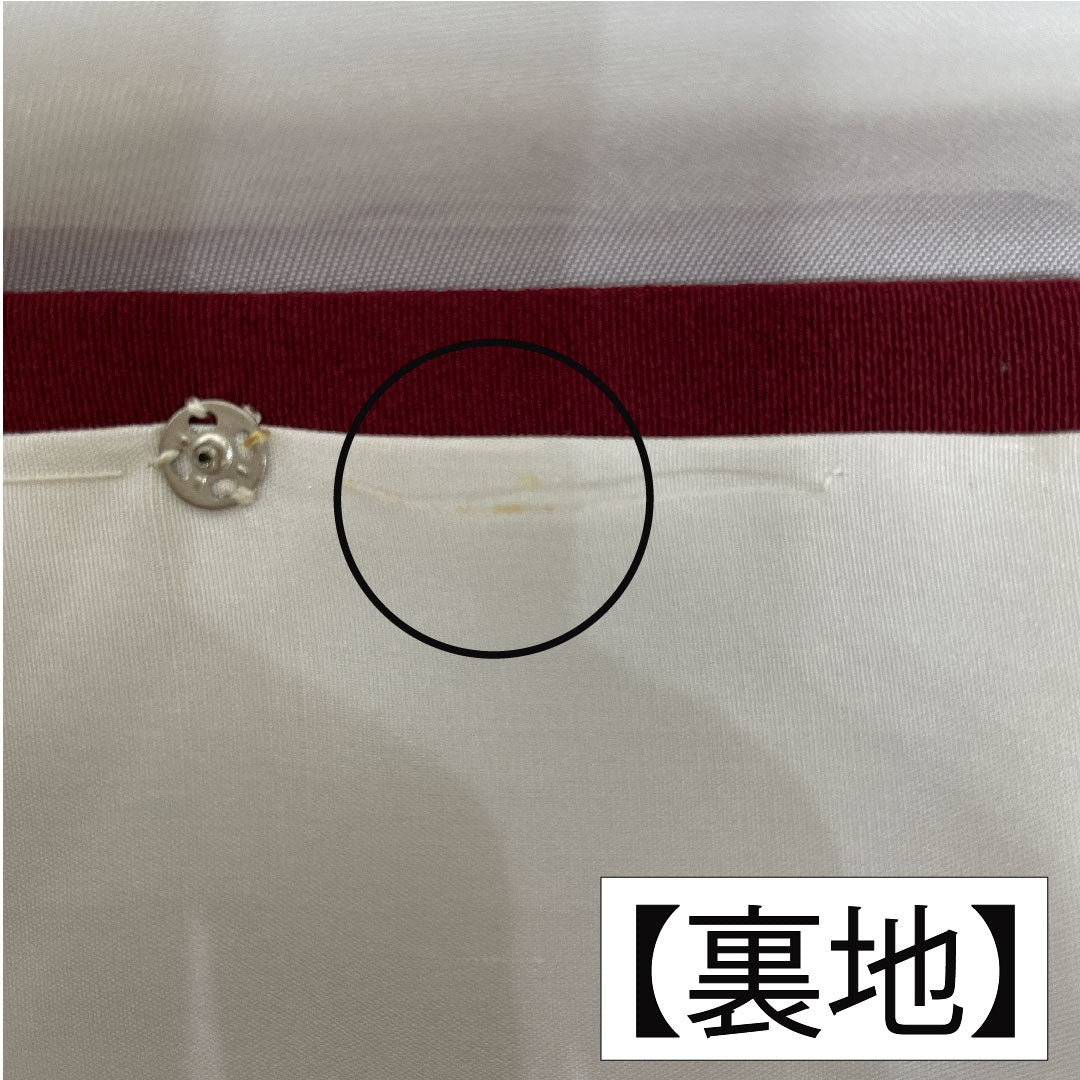 訪問着 正絹 袷 身丈163.5cm 裄丈64.5cm 臙脂色(えんじいろ) 辻ヶ花 Aランク 赤系 1112005823412