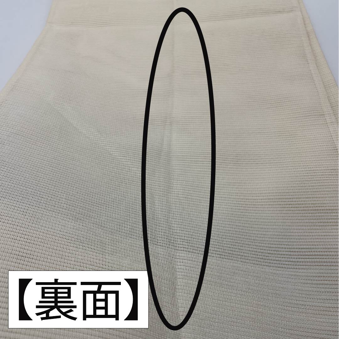 袋帯 正絹 沙羅双樹 夏帯 作家物 蘇州刺繡 帯丈422cm Sランク ポイント柄 セミフォーマル クリーム系 1123014642315