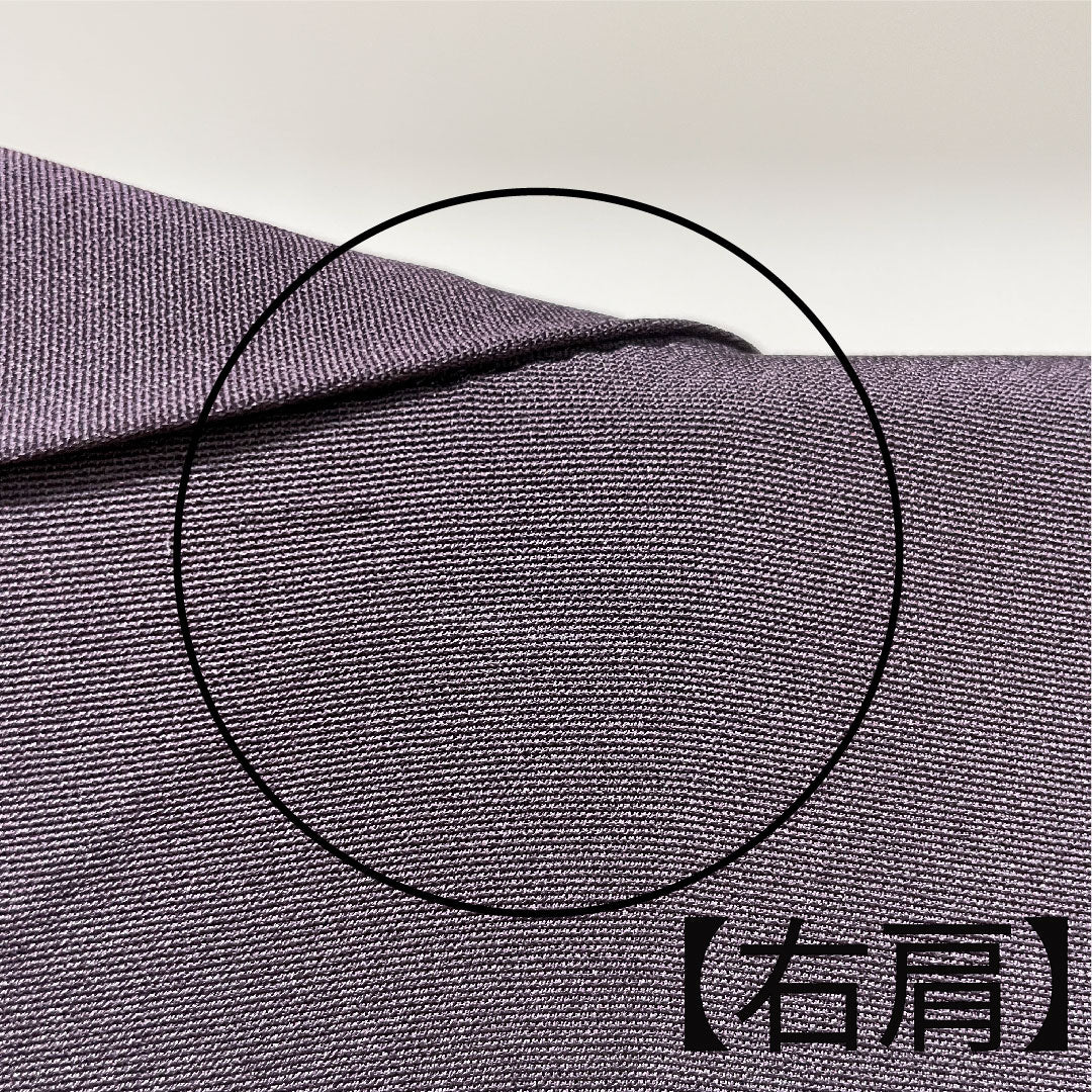 訪問着 袷 身丈164cm 裄丈65cm 紫黒色 作家物 風景模様 正絹 Aランク 紫系 1112002483420