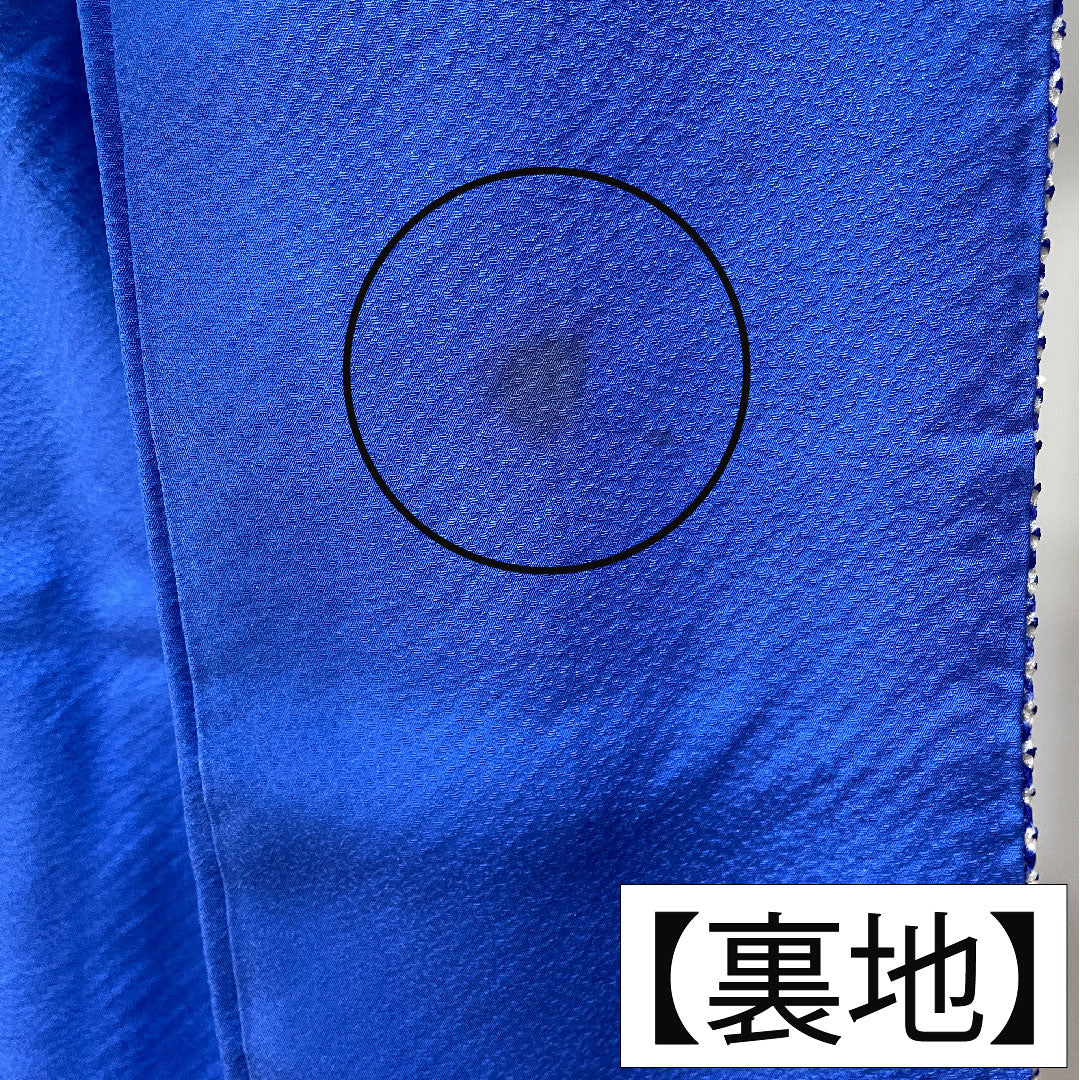 訪問着 正絹 袷 身丈159.5cm 裄丈64cm 藍白色(あいじろいろ) 総絞り 重ね衿付き Bランク 水色系 1112004824324