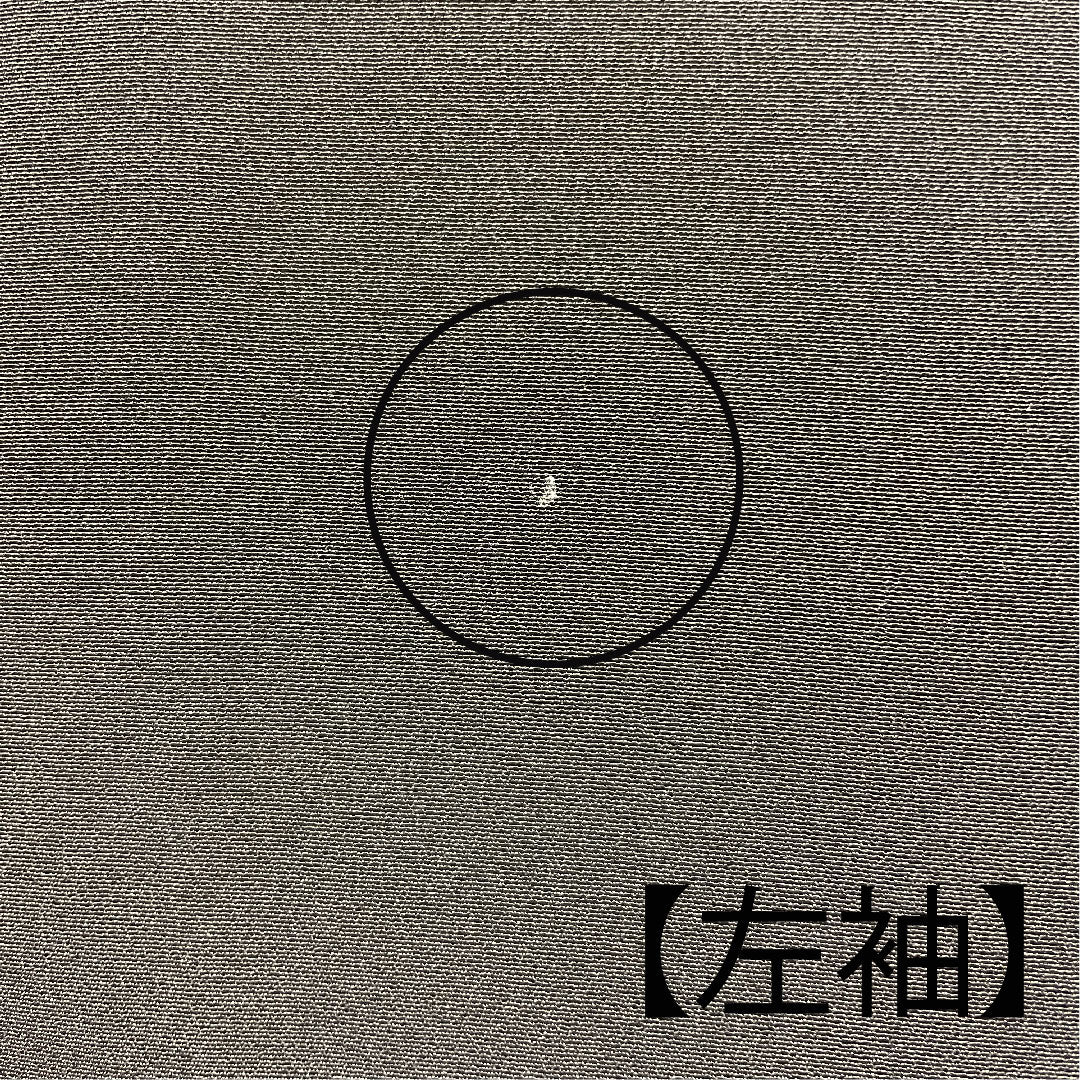 黒留袖 身丈161.5cm 裄丈66cm 袷 作家物 風景模様 下がり藤 正絹 Aランク 五つ紋 黒系 1111000353410