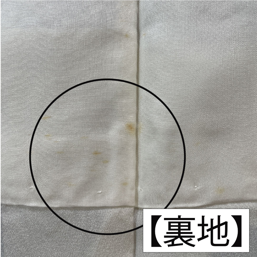 訪問着 正絹 袷 身丈159cm 裄丈65cm 濃紺色(のうこんいろ) 蝶 薔薇 Aランク 紺系 1112005883318