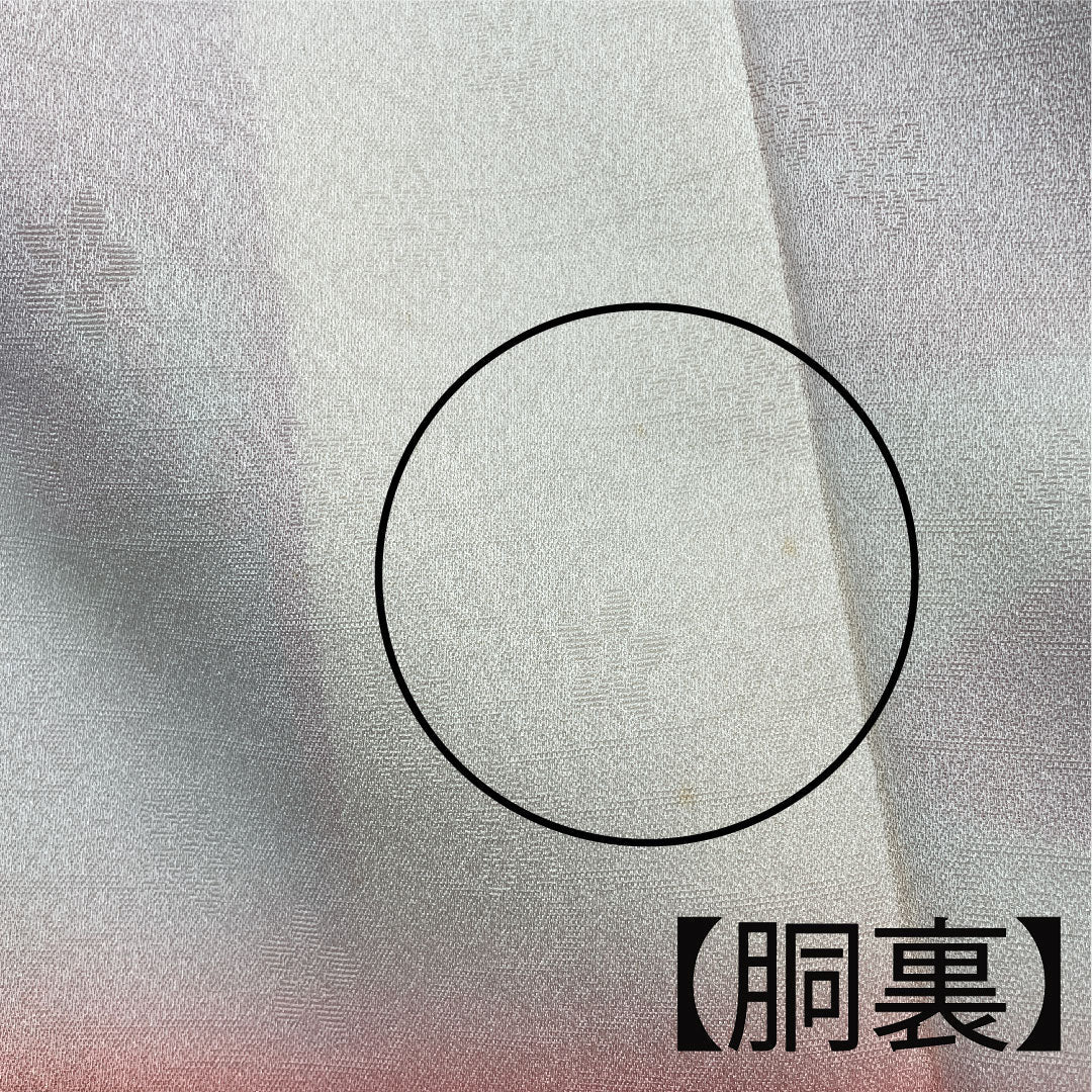 振袖 身丈166cm 裄丈63cm 袷 中紅色 鉾 草花模様 正絹 Aランク 朱系 1113001463516