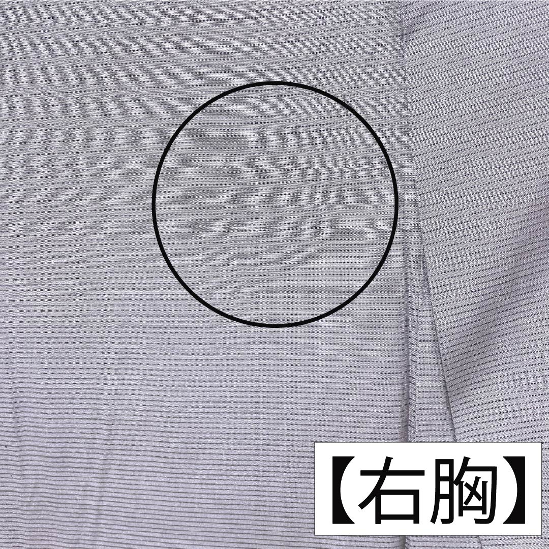 夏物 正絹 色無地 Aランク 身丈154.5cm 裄丈63cm 灰紫色(はいむらさきいろ) 丸に中陰剣花菱 一つ紋 絽 紫系 1132003713220