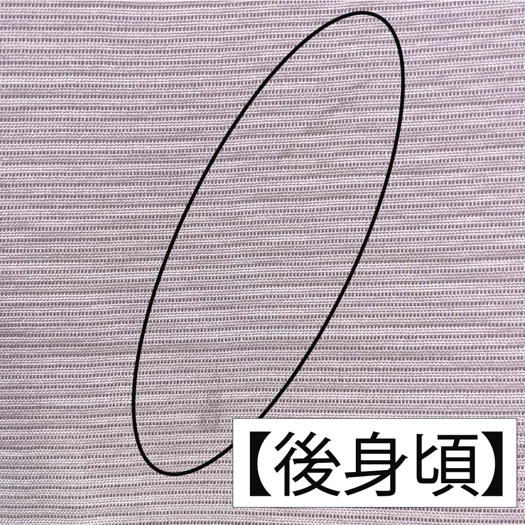 夏物 正絹 訪問着 身丈153cm 裄丈61.5cm 桜色(さくらいろ) 京友禅 一つ紋 丸に橘 絽 Bランク ピンク系 1132002194213
