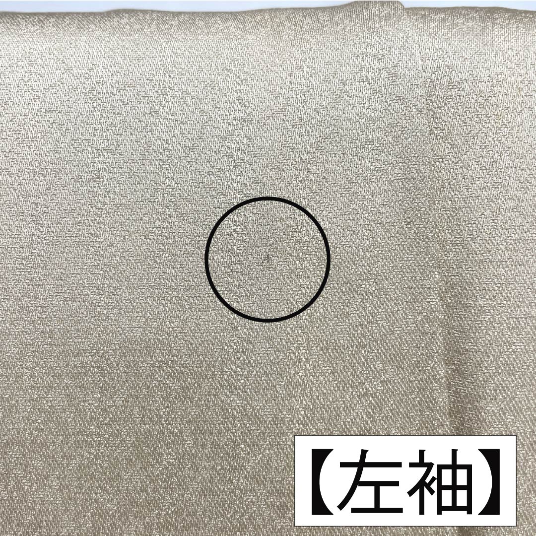 訪問着 正絹 Aランク 袷 身丈165.5cm 裄丈64cm 砥粉色(とのこいろ) 京友禅 ススキ 草花 萩 ベージュ系 1112007253525