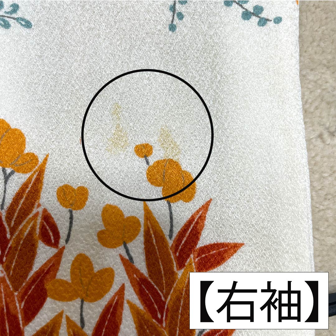 小紋 正絹 Bランク 身丈153.5cm 裄丈62cm 袷 草花模様 白系 1115006434211