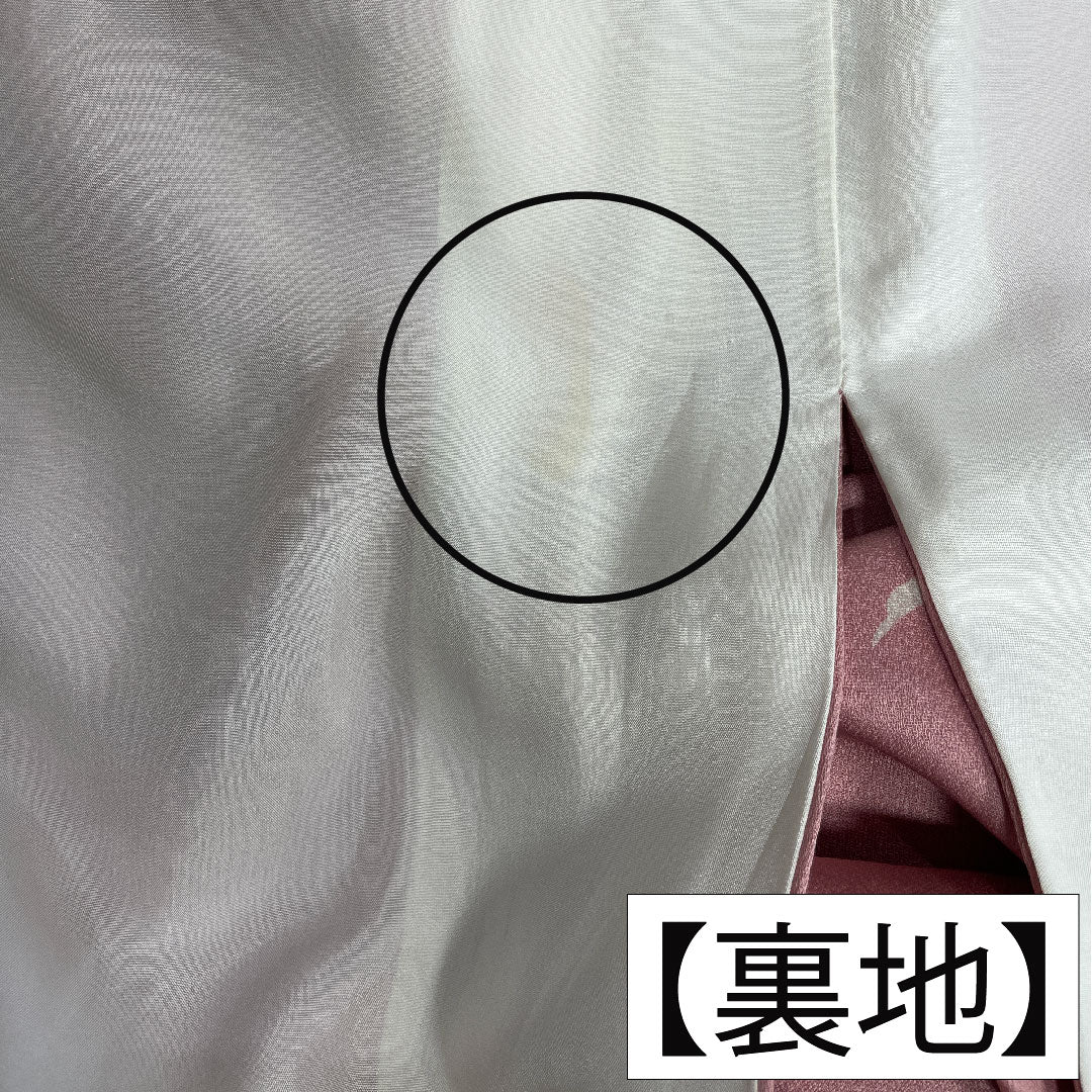 訪問着 正絹 袷 身丈158.5cm 裄丈62.5cm 一斤染色(いっこんぞめいろ) 京友禅 草花模様 一つ紋 丸に沢瀉 Aランク ピンク系 1112004763313